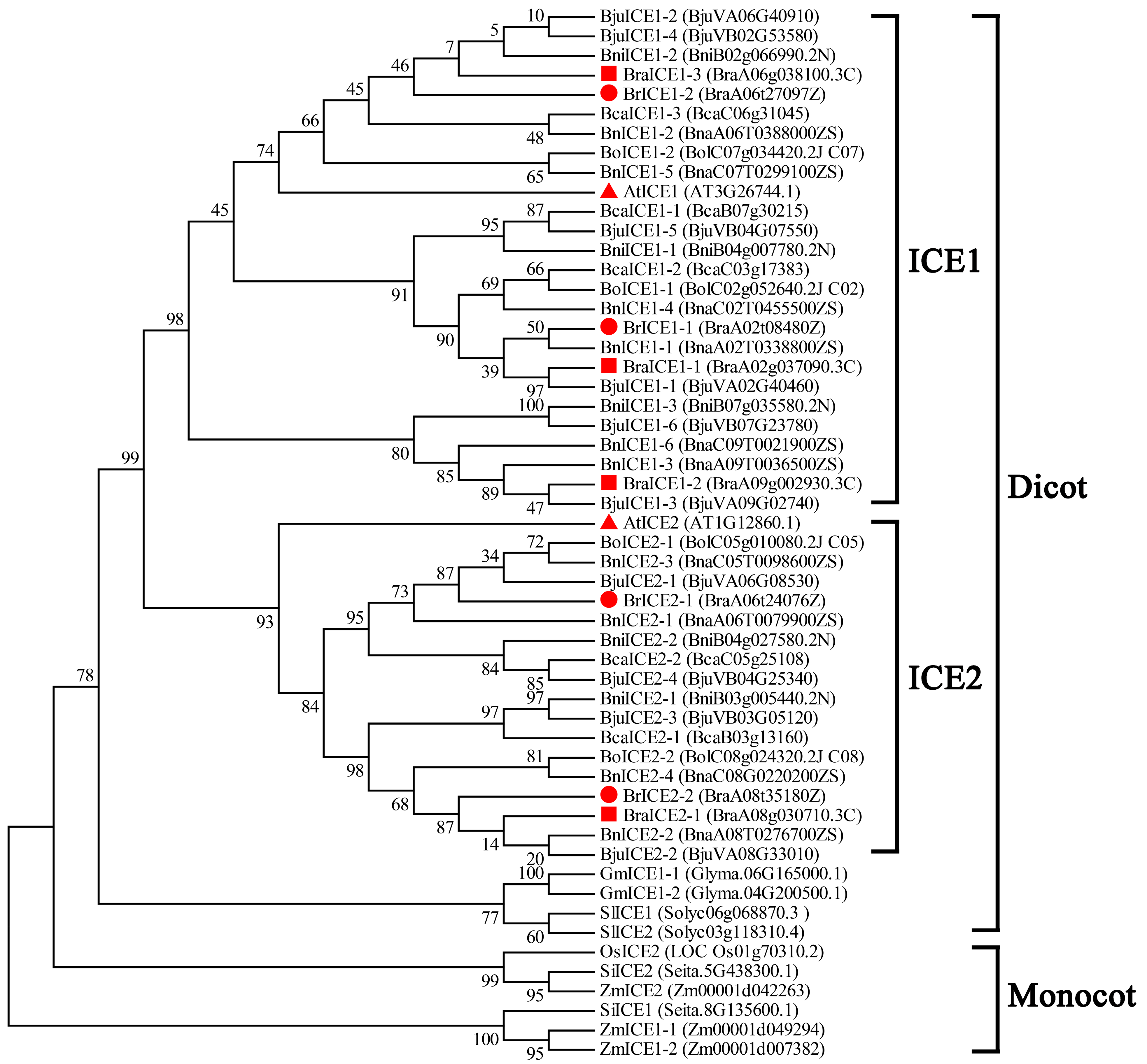 Plants 13 02625 g001
