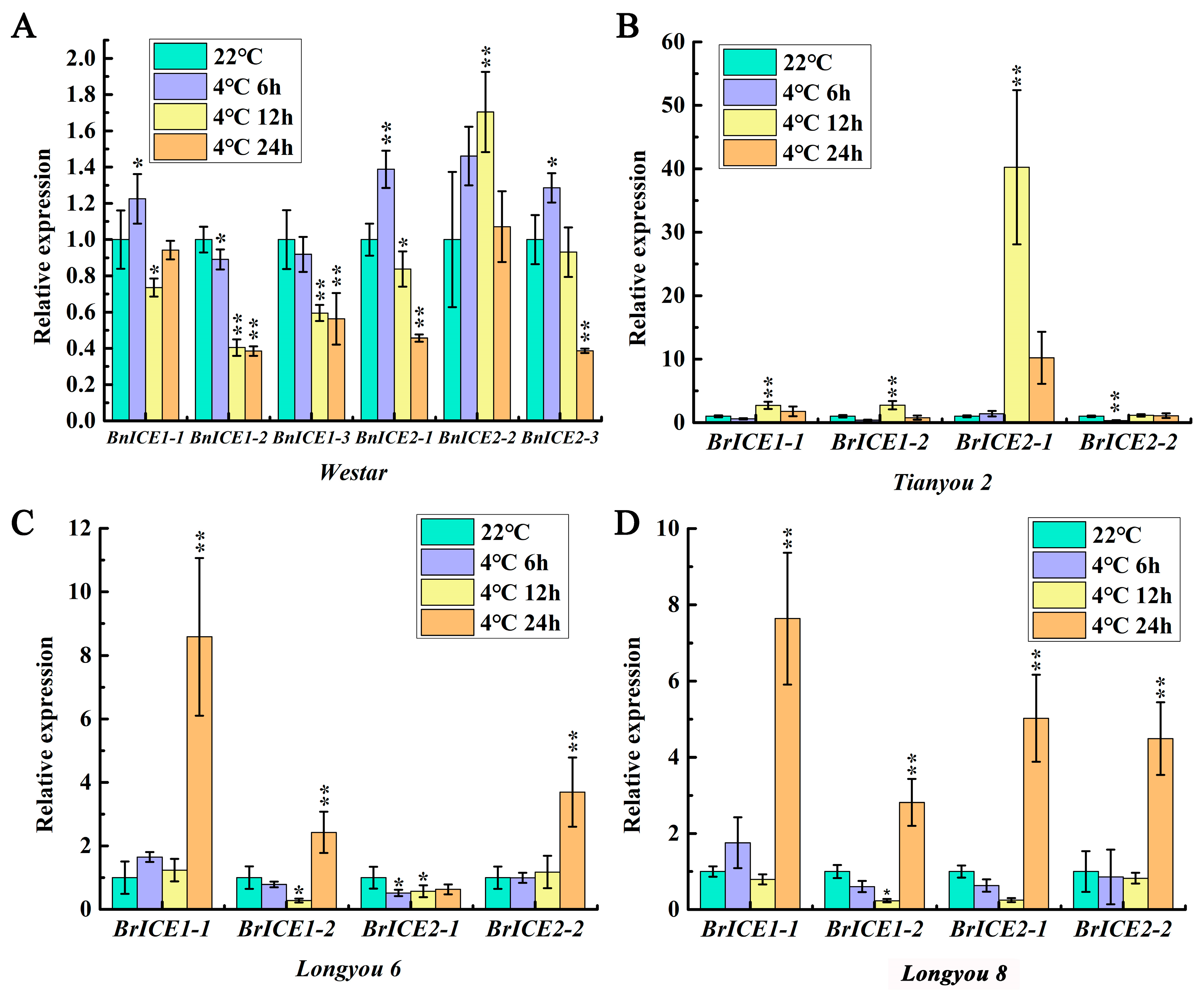Plants 13 02625 g002