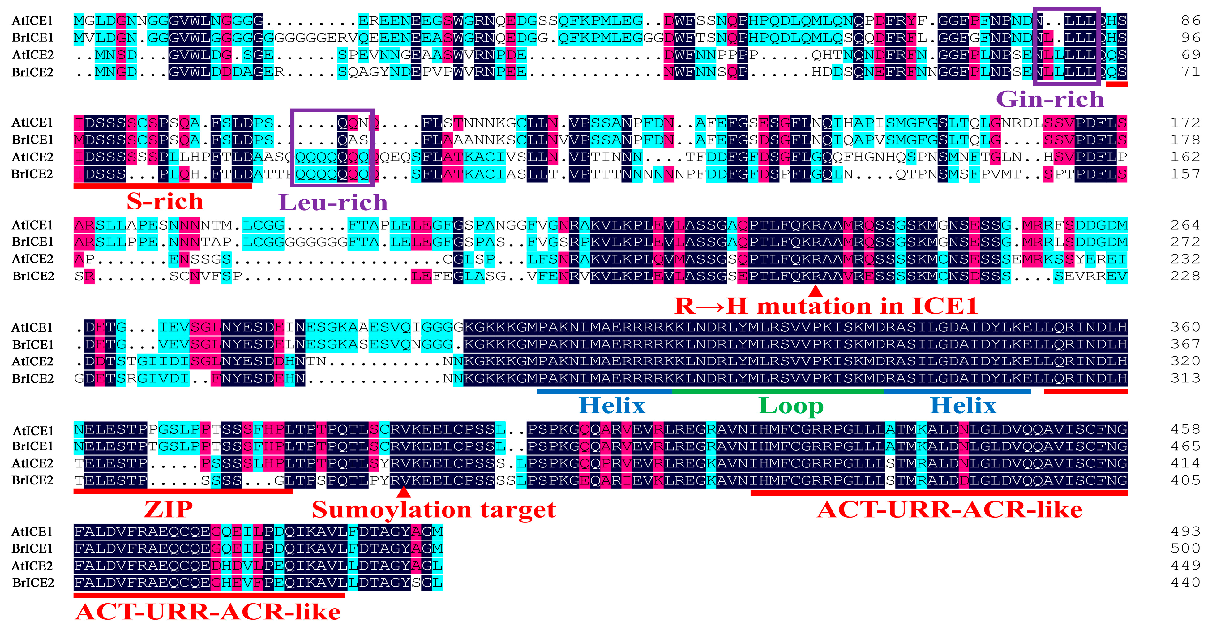 Plants 13 02625 g003