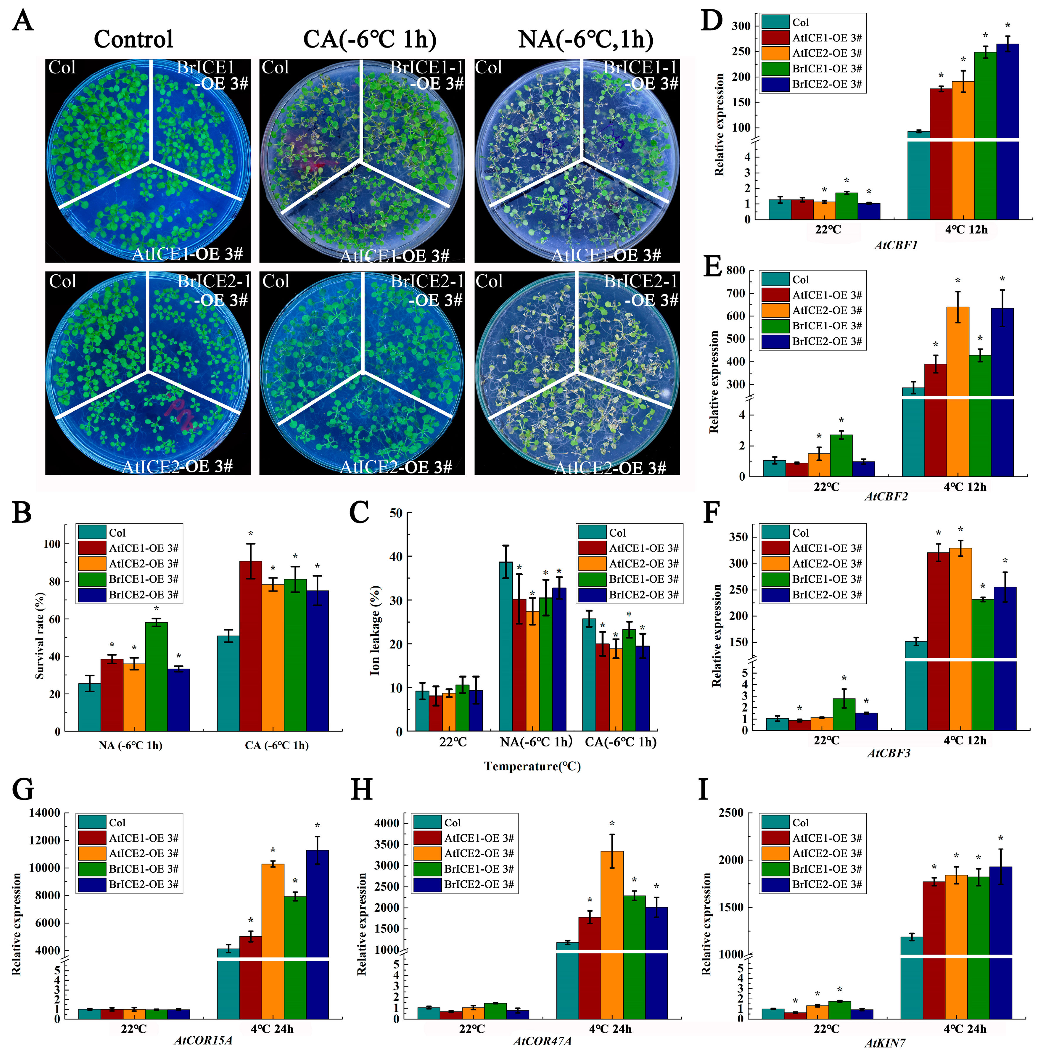 Plants 13 02625 g006