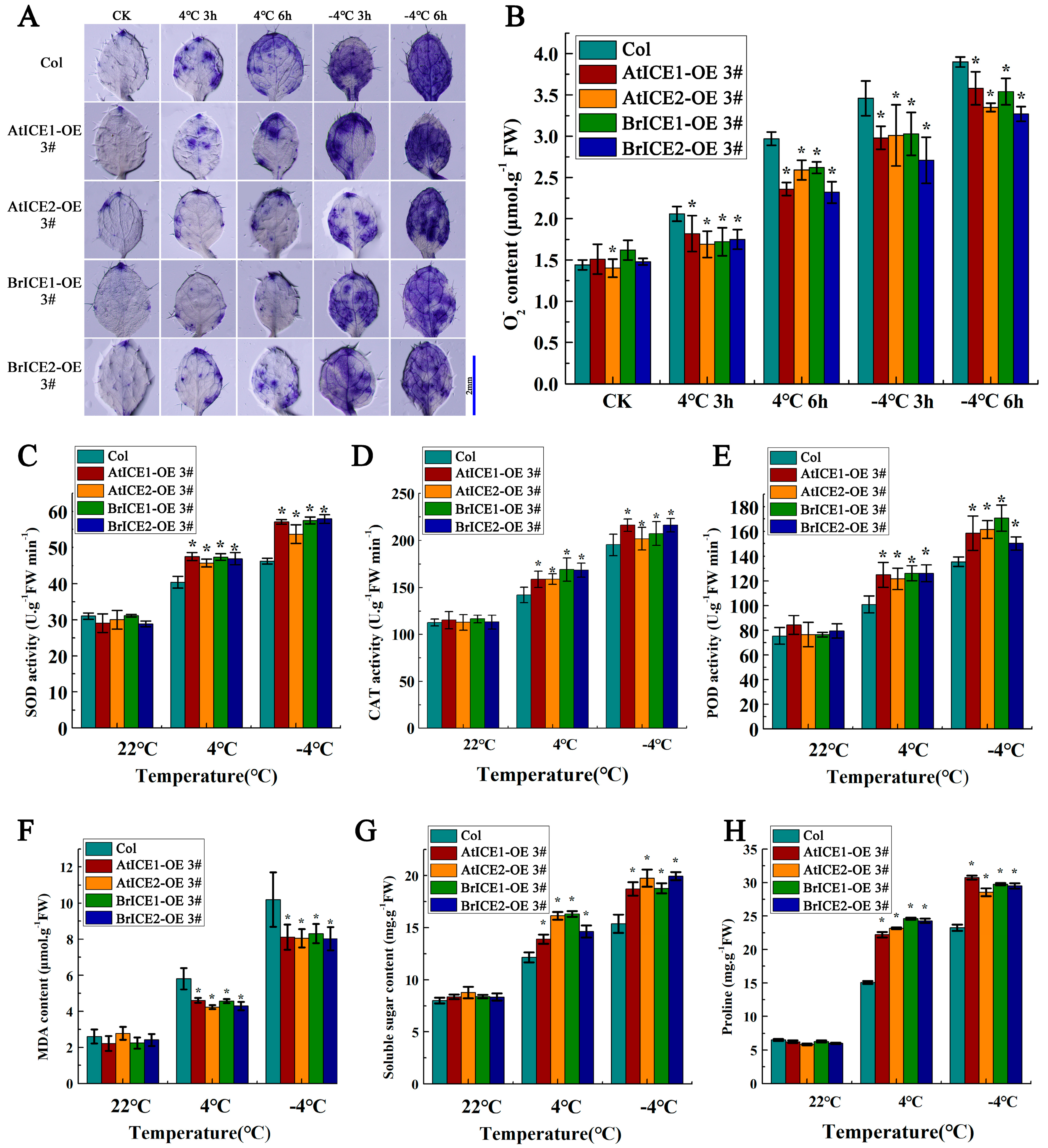 Plants 13 02625 g008