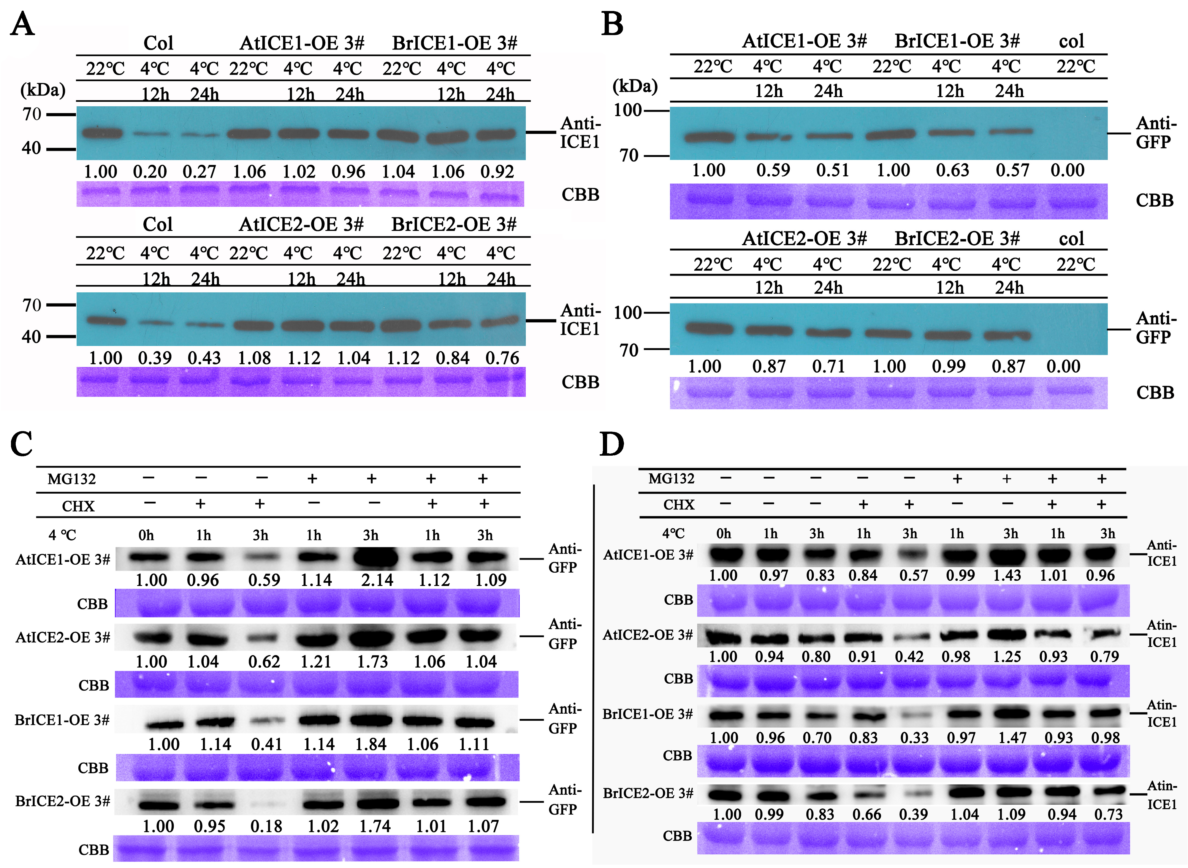 Plants 13 02625 g009