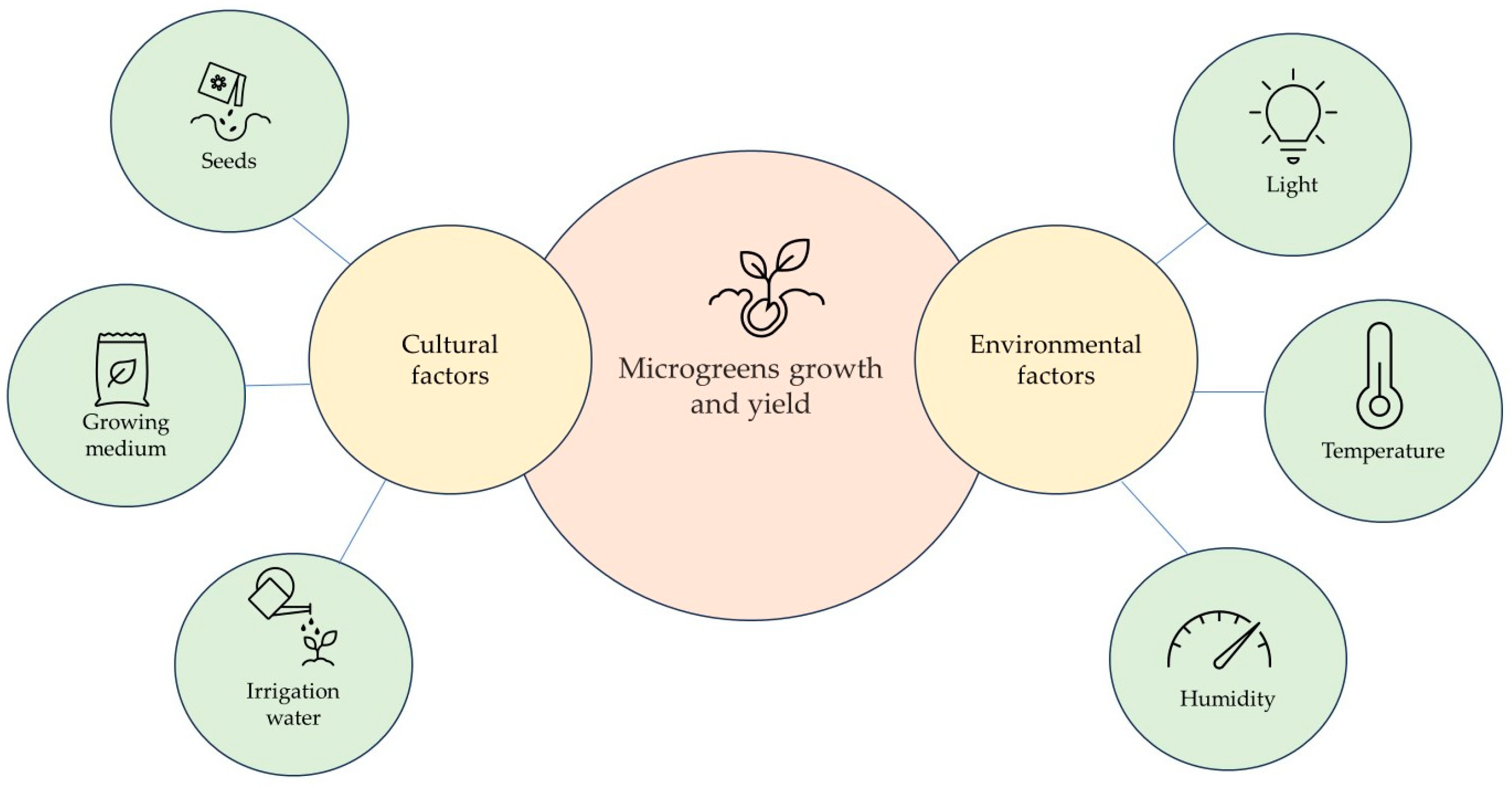 Plants 13 02631 g002