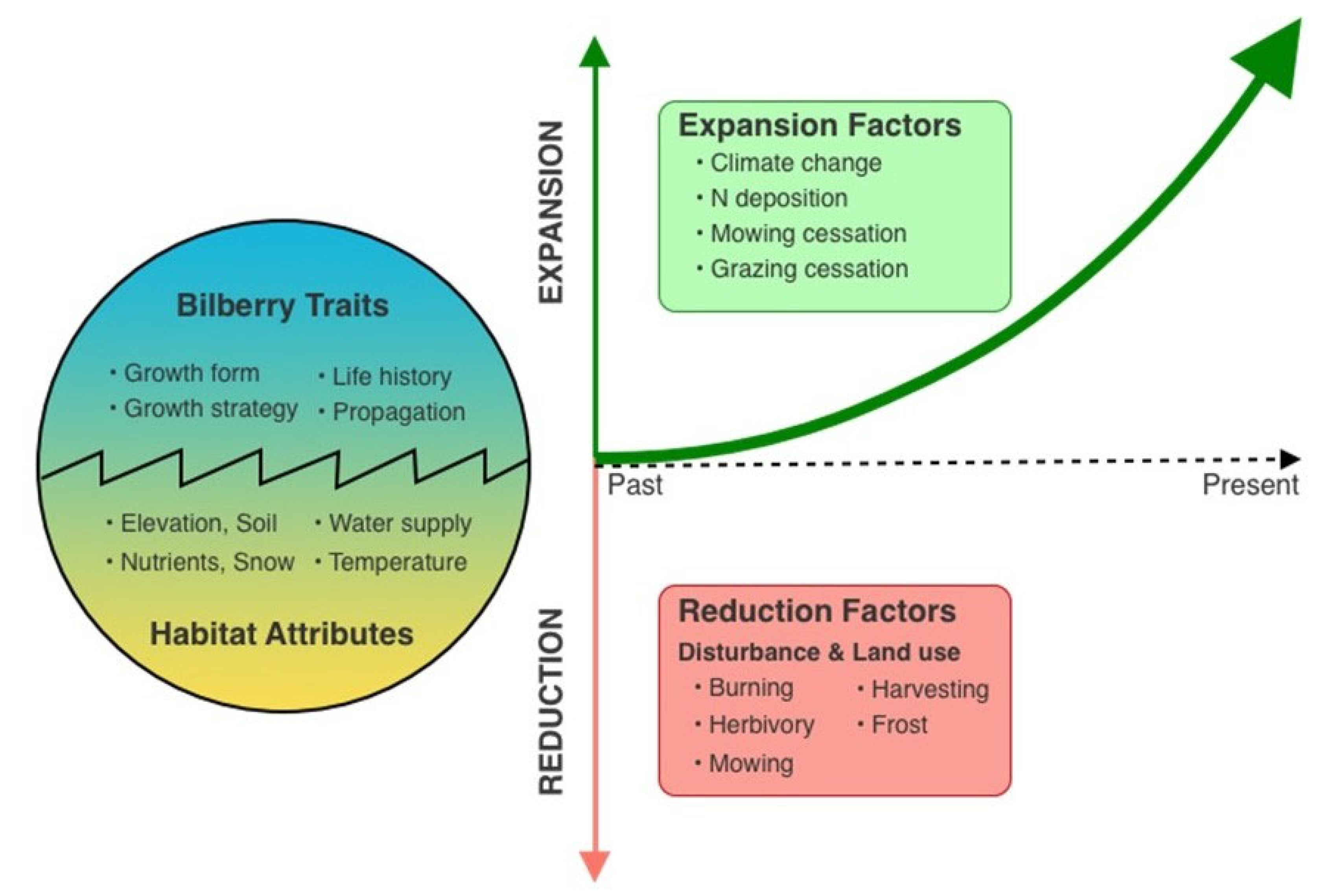 Plants 13 02633 g001