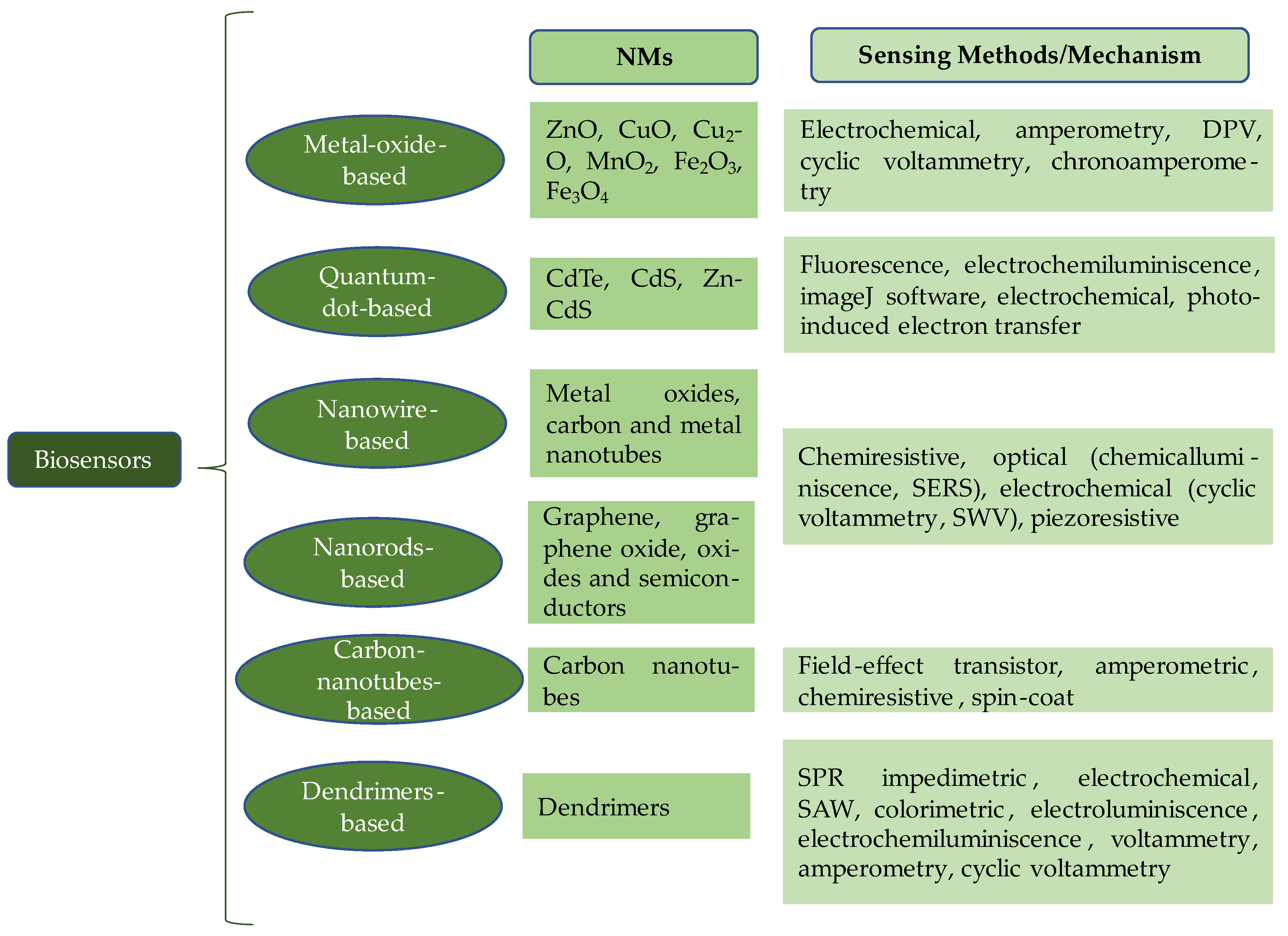 Plants 13 02634 g002