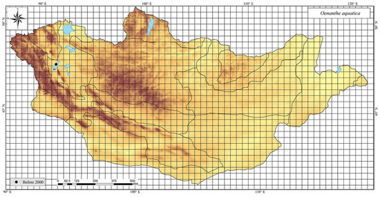 Plants 13 02635 g0a47