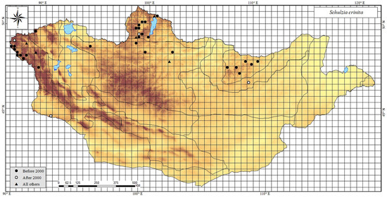 Plants 13 02635 g0a59