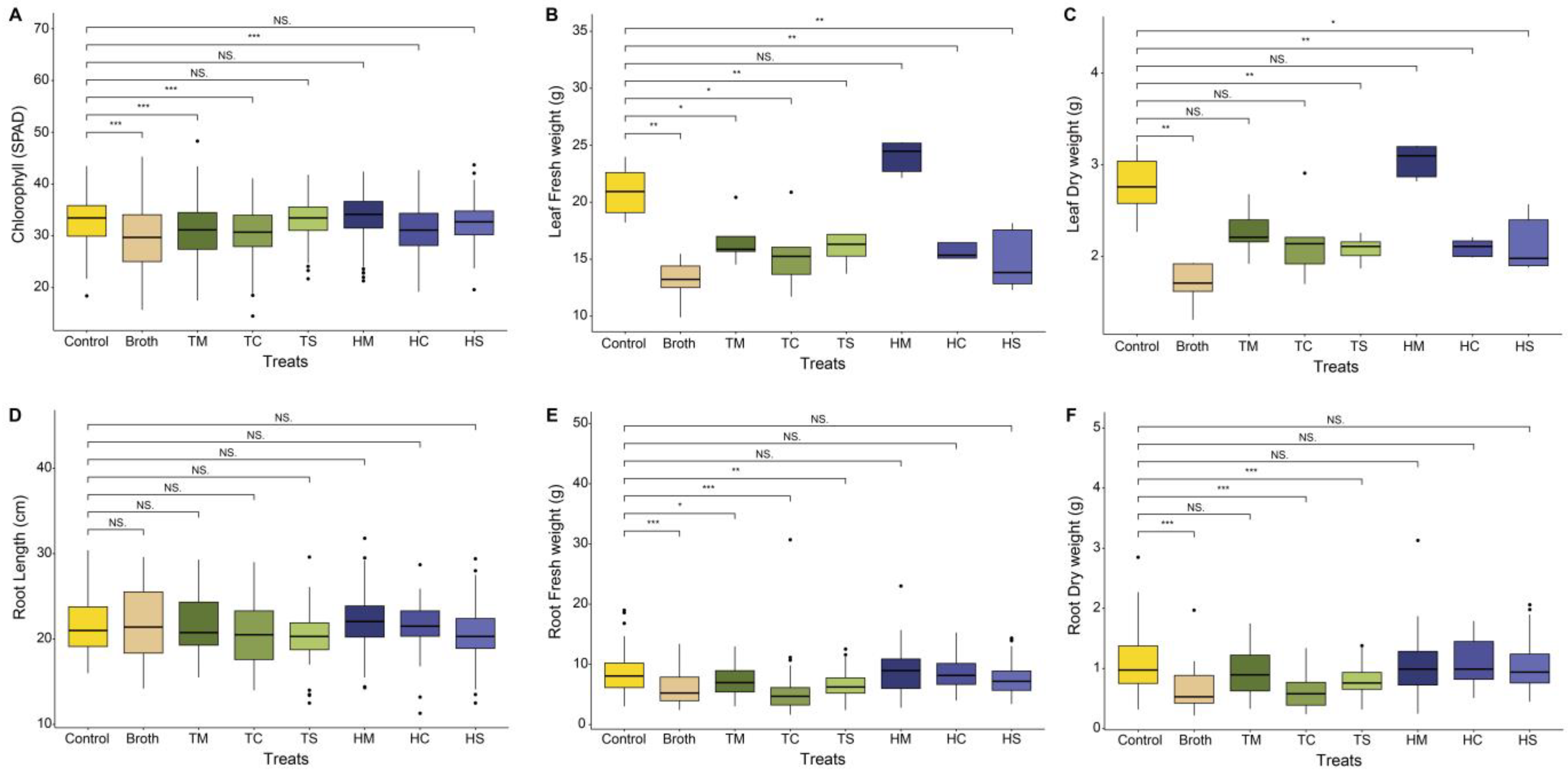 Plants 13 02636 g001