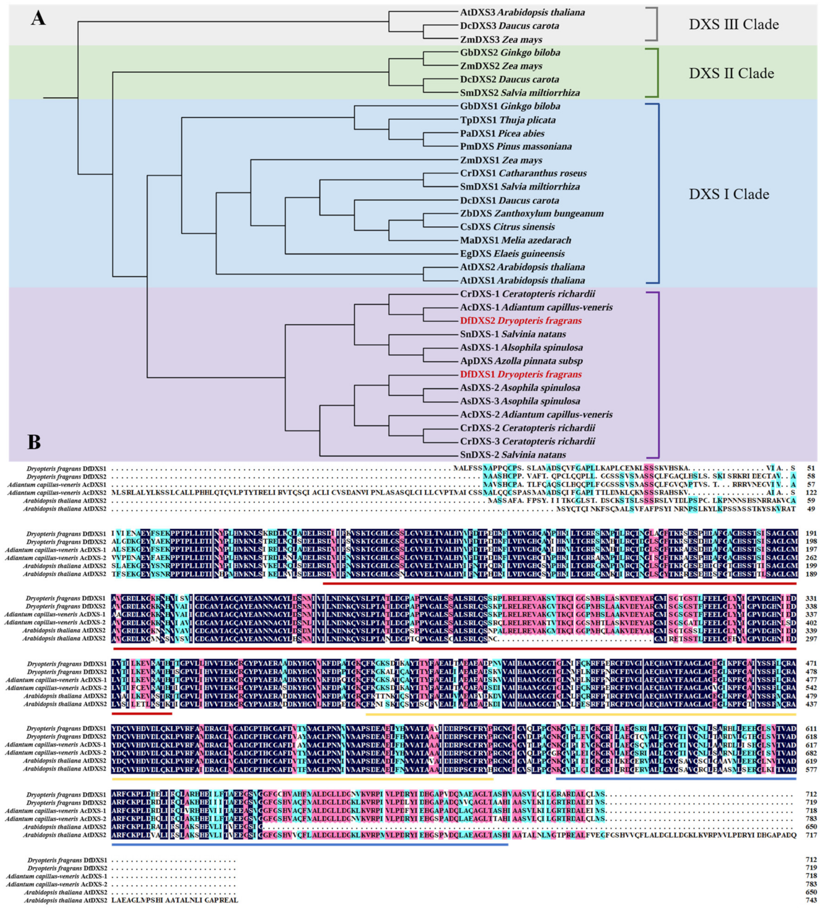 Plants 13 02647 g002