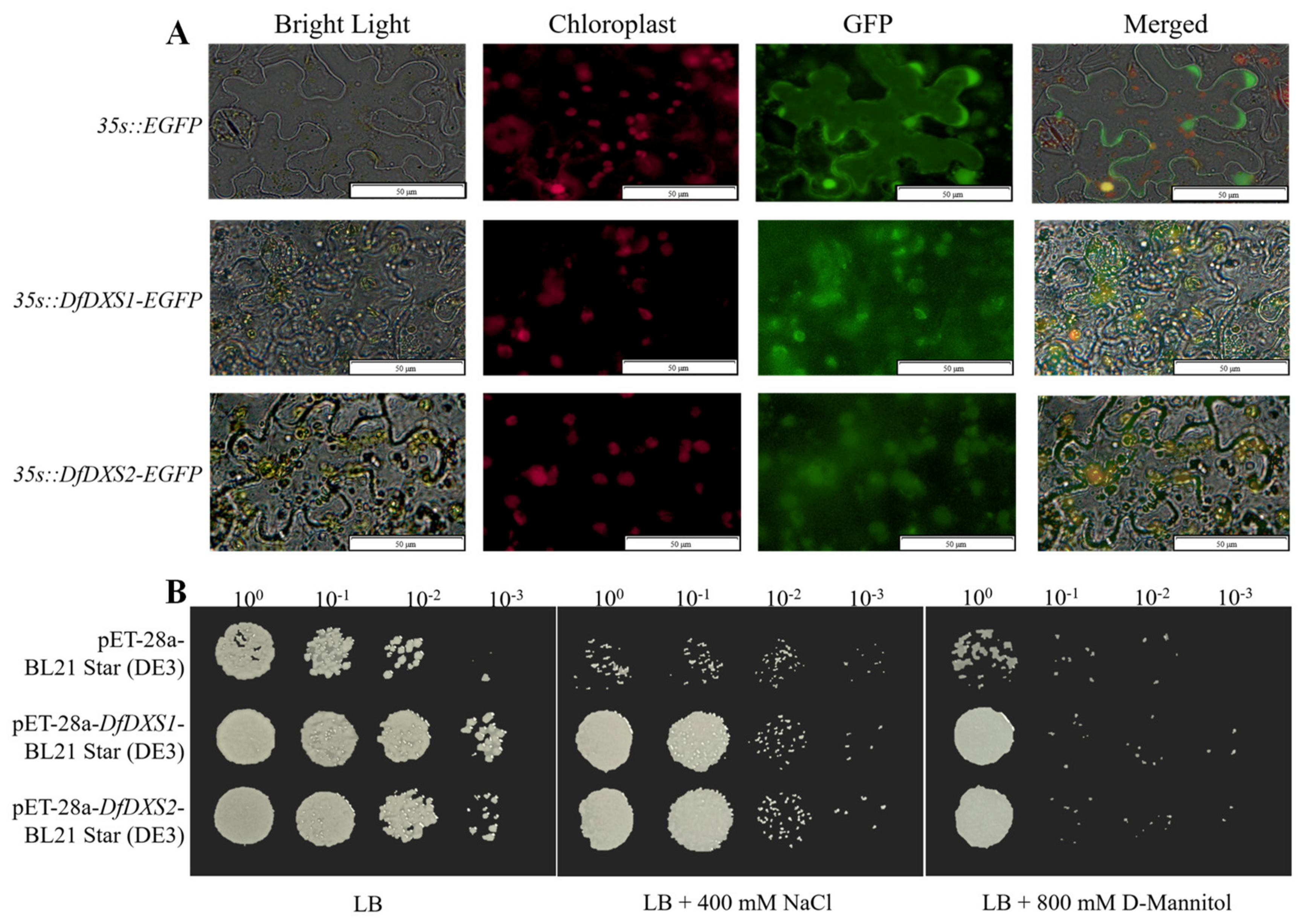 Plants 13 02647 g003