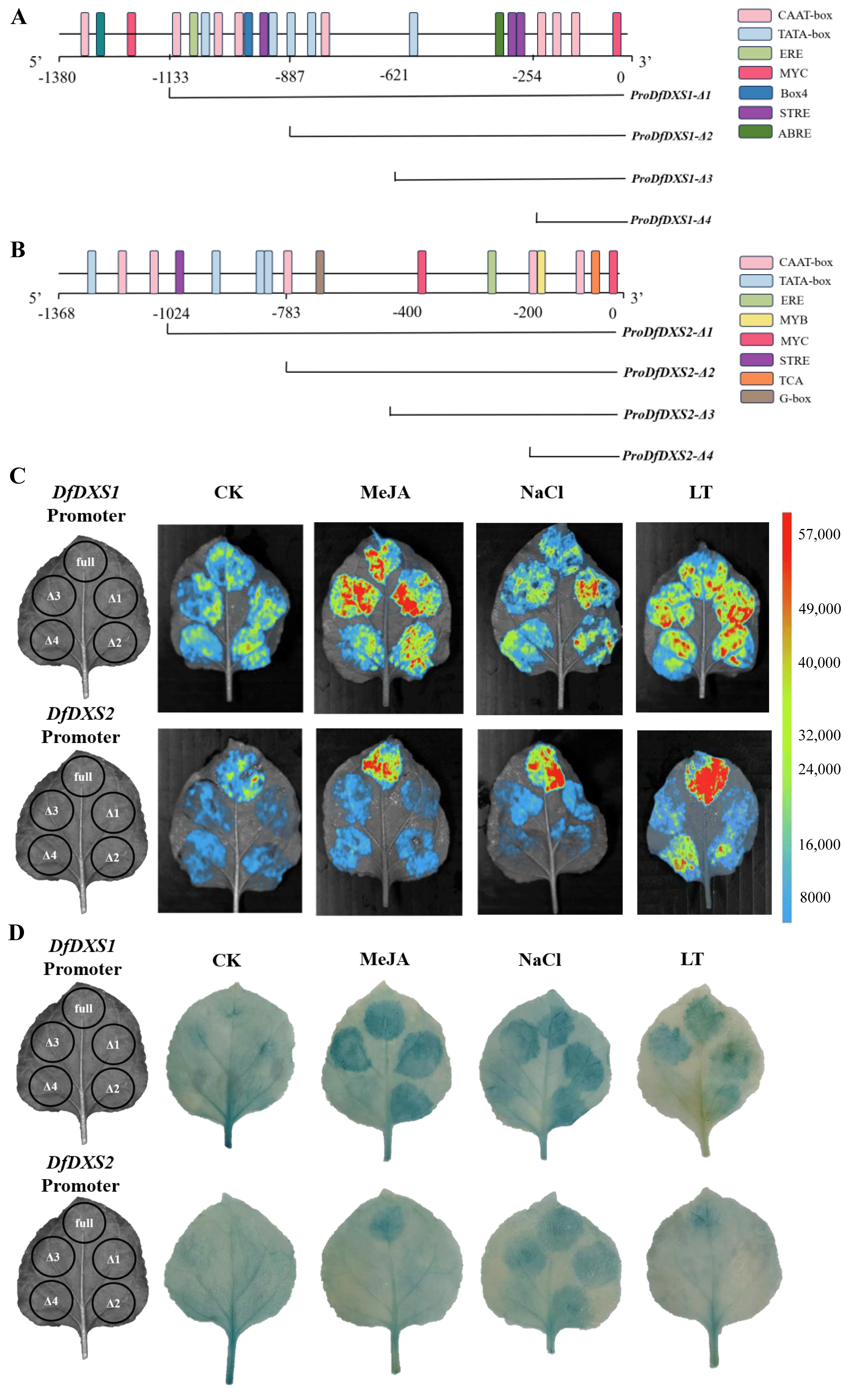 Plants 13 02647 g007