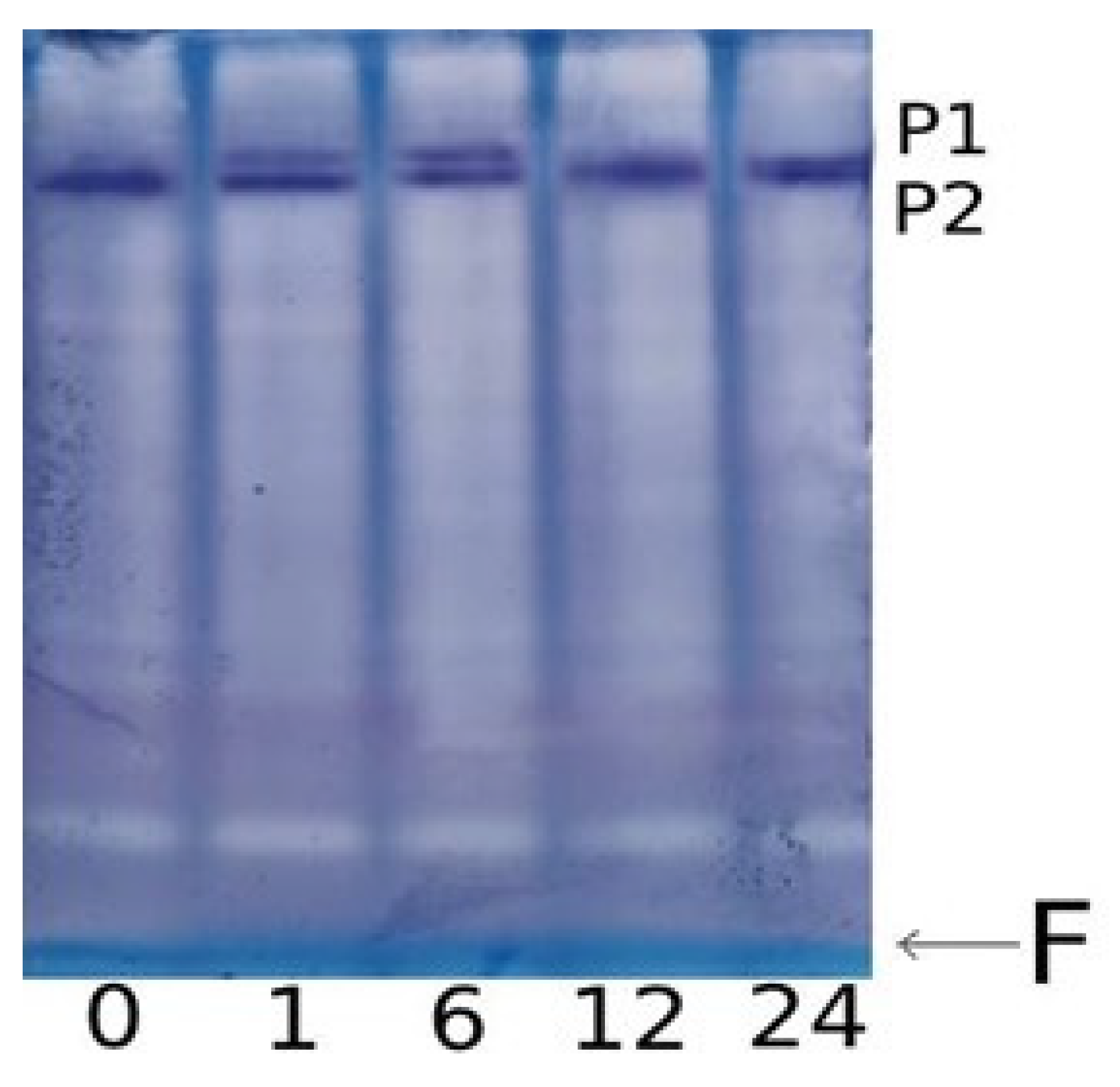 Plants 13 02651 g004