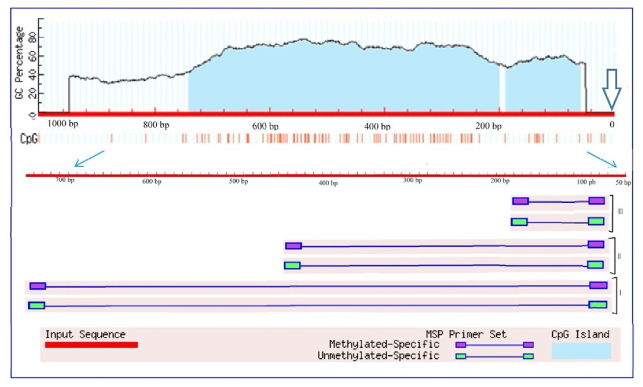 Plants 13 02651 g007