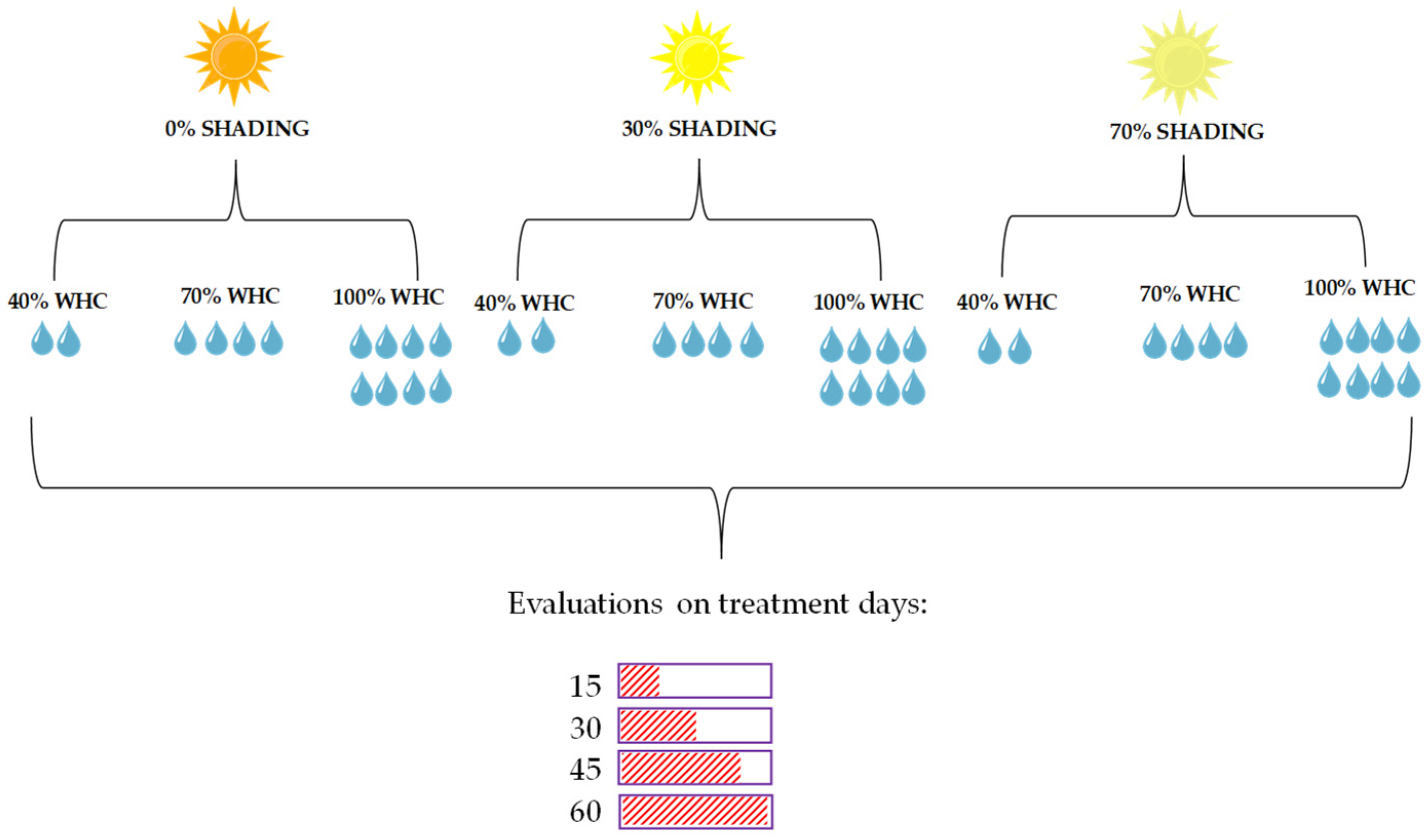 Plants 13 02654 g006