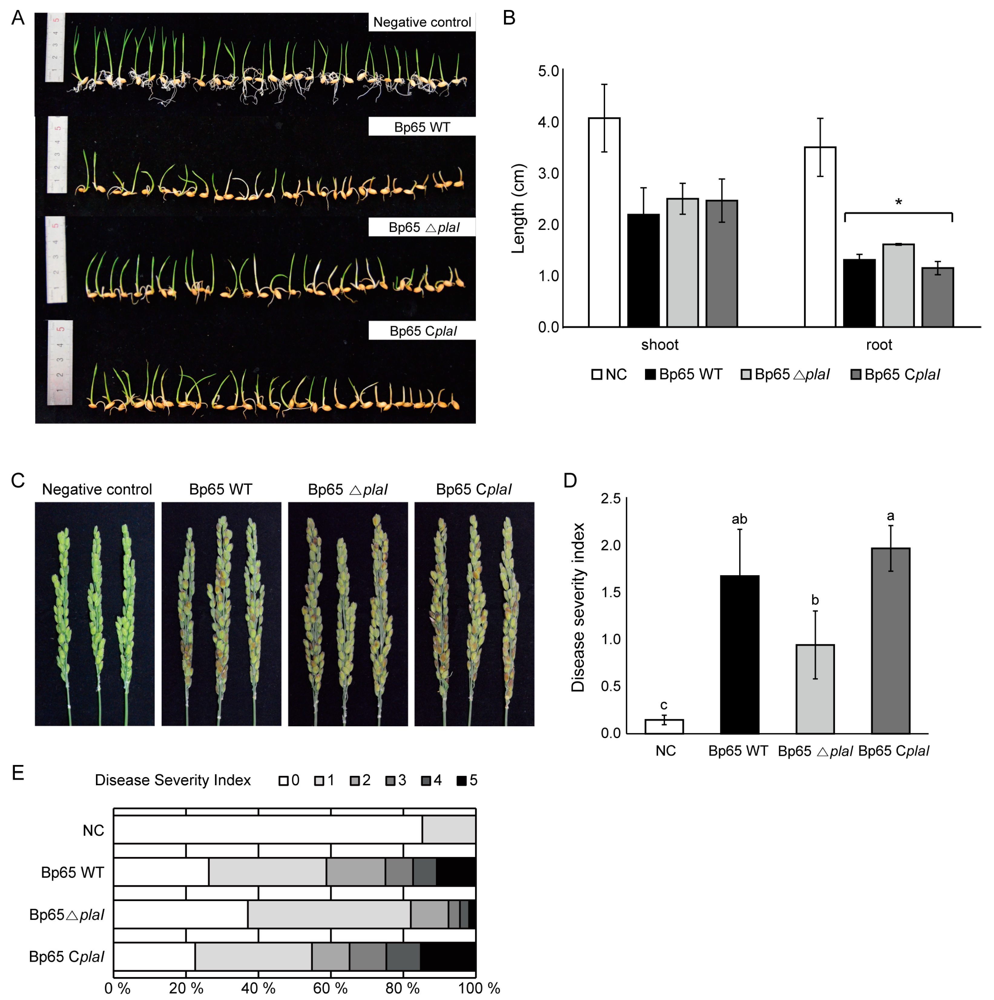 Plants 13 02657 g002