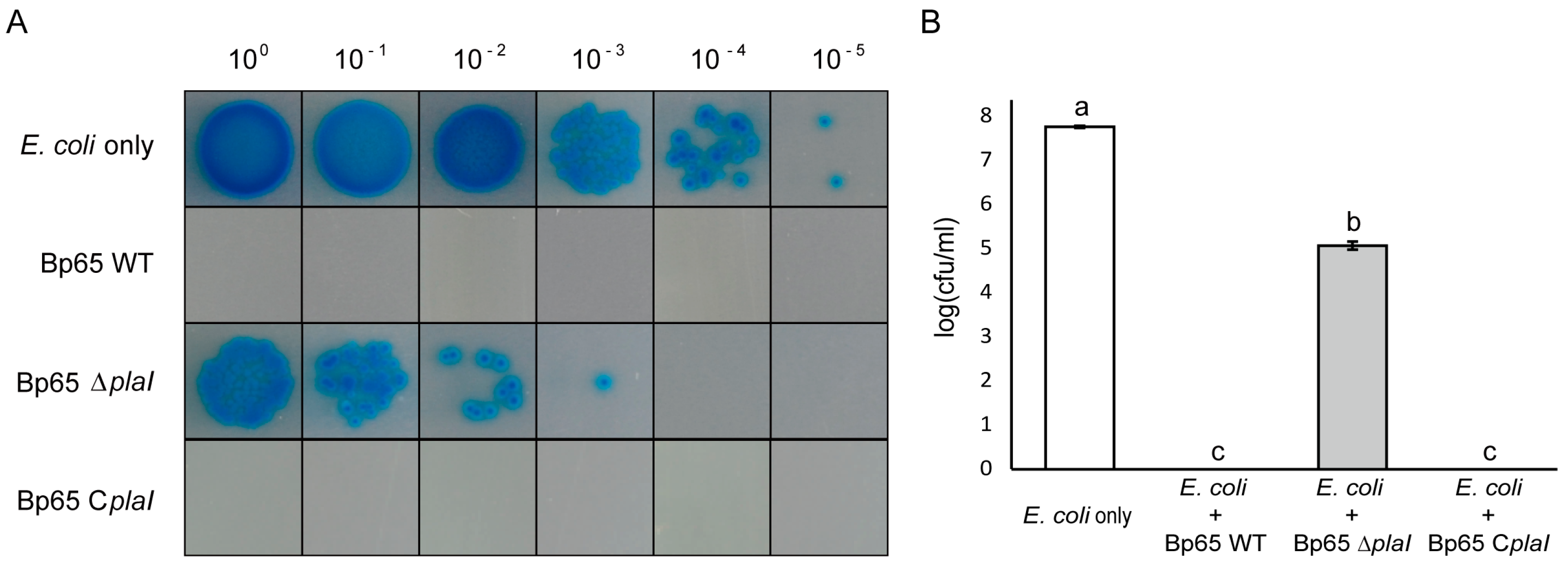 Plants 13 02657 g005