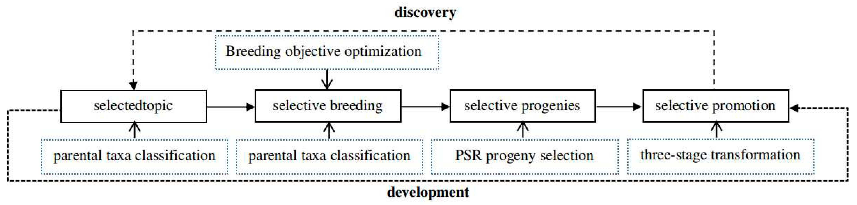 Plants 13 02658 g001