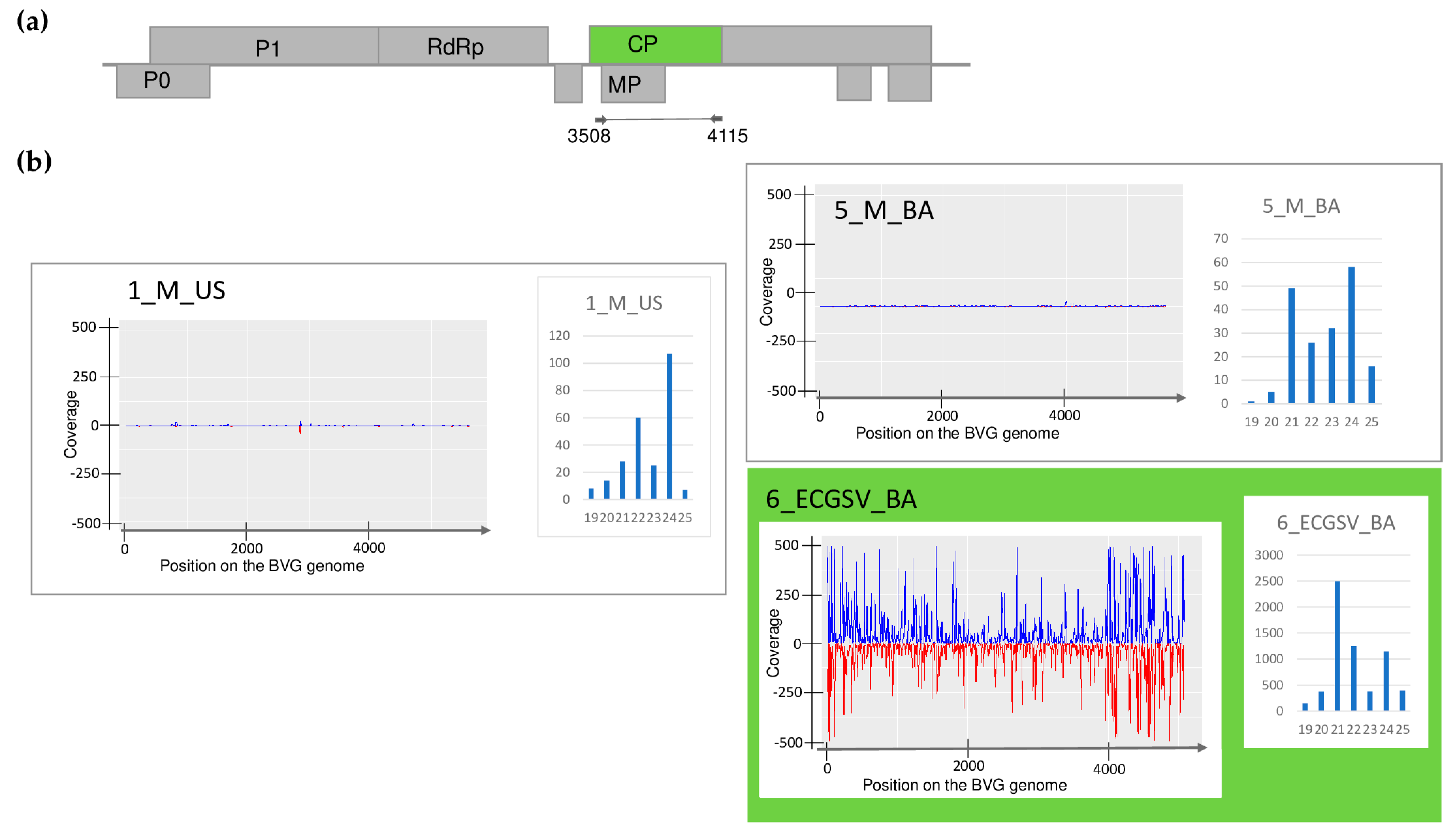 Plants 13 02664 g003
