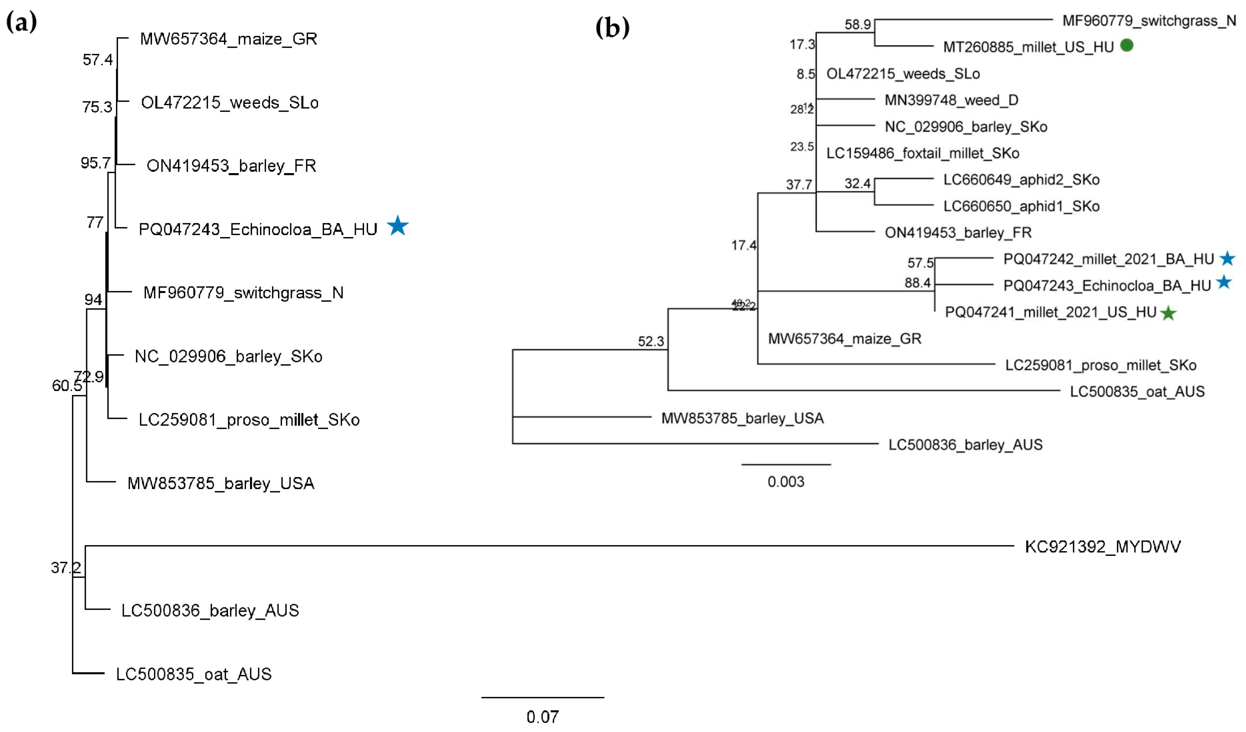Plants 13 02664 g012