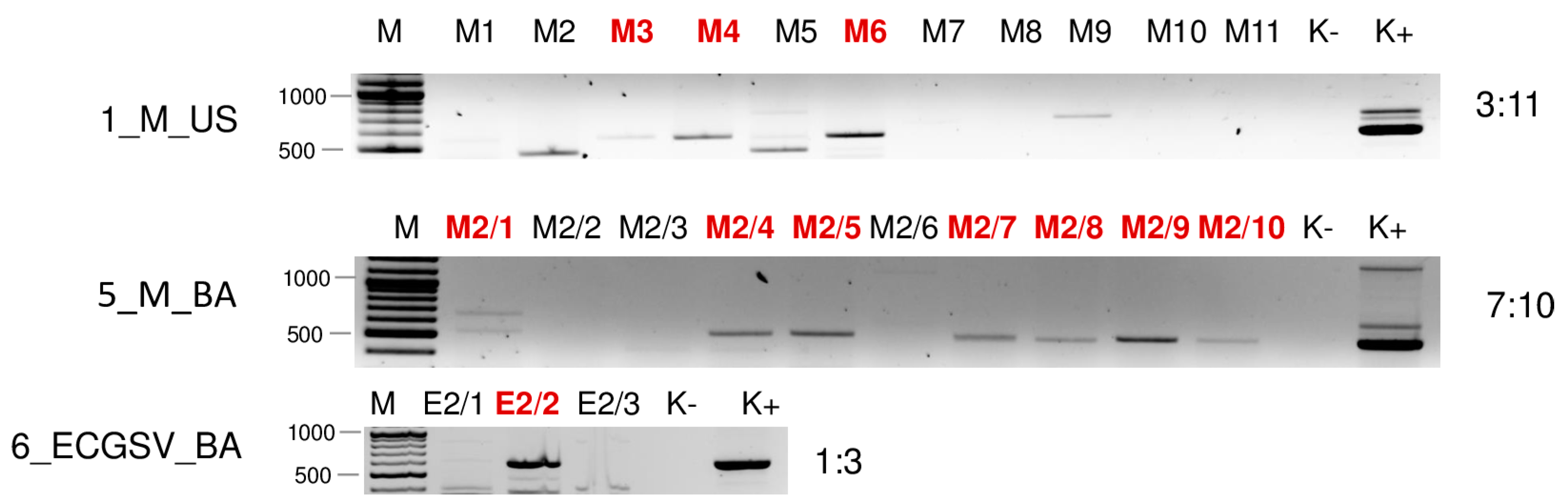 Plants 13 02664 g013