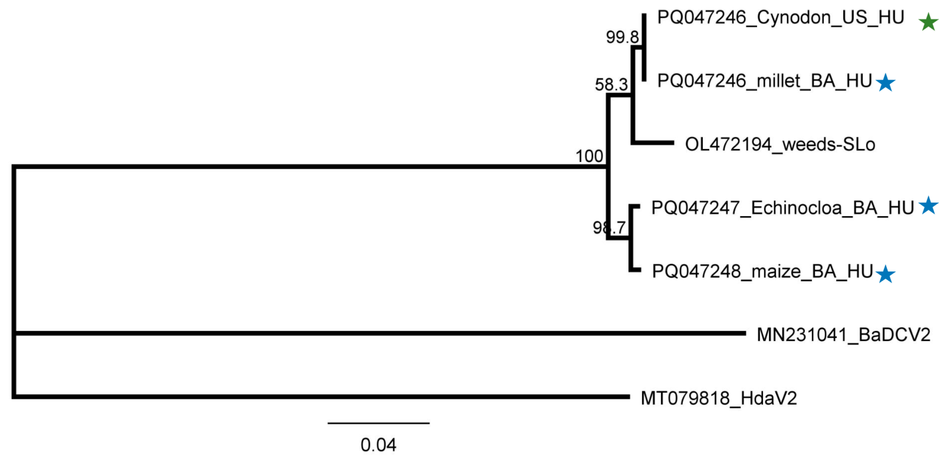 Plants 13 02664 g016
