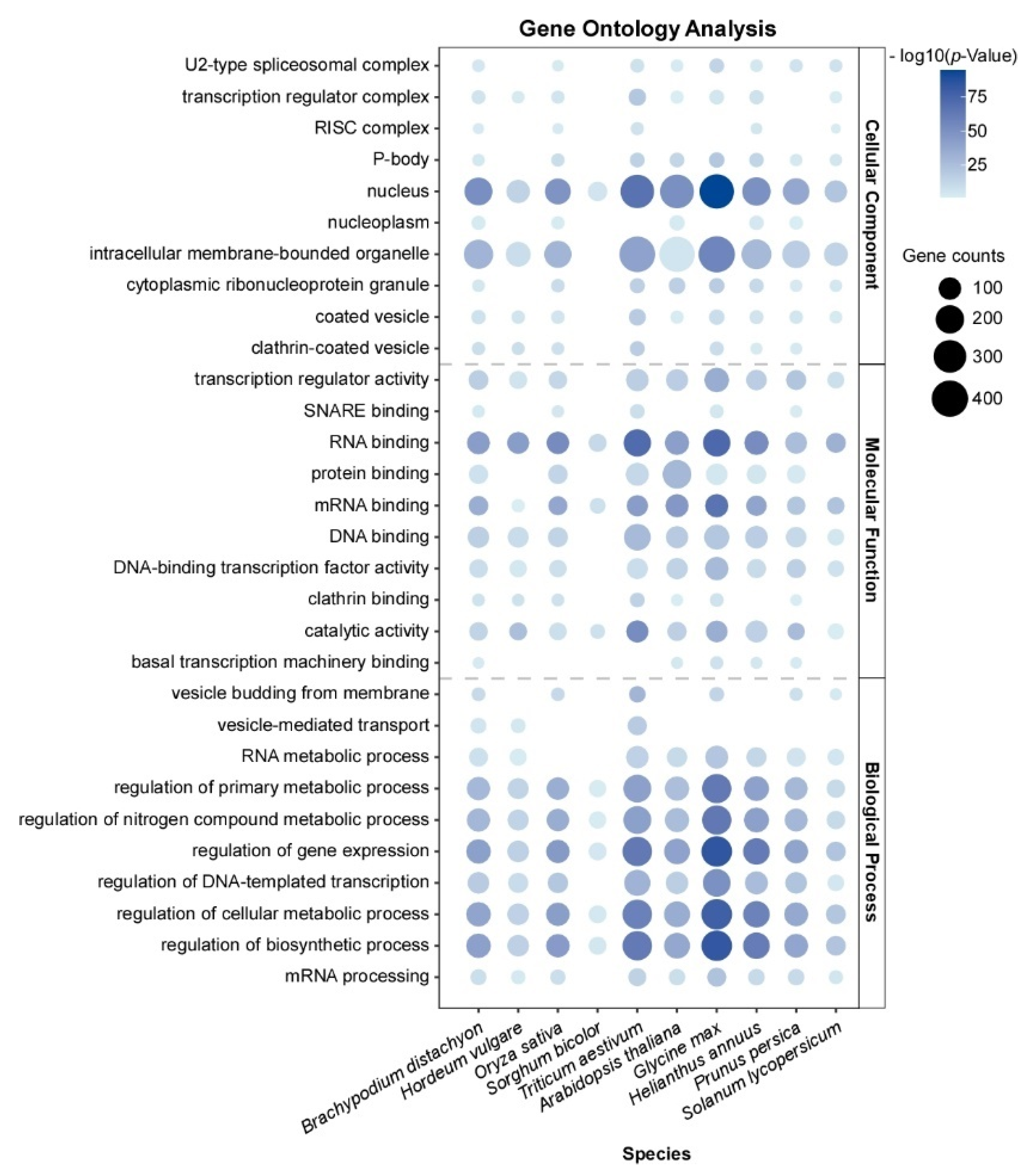 Plants 13 02666 g001
