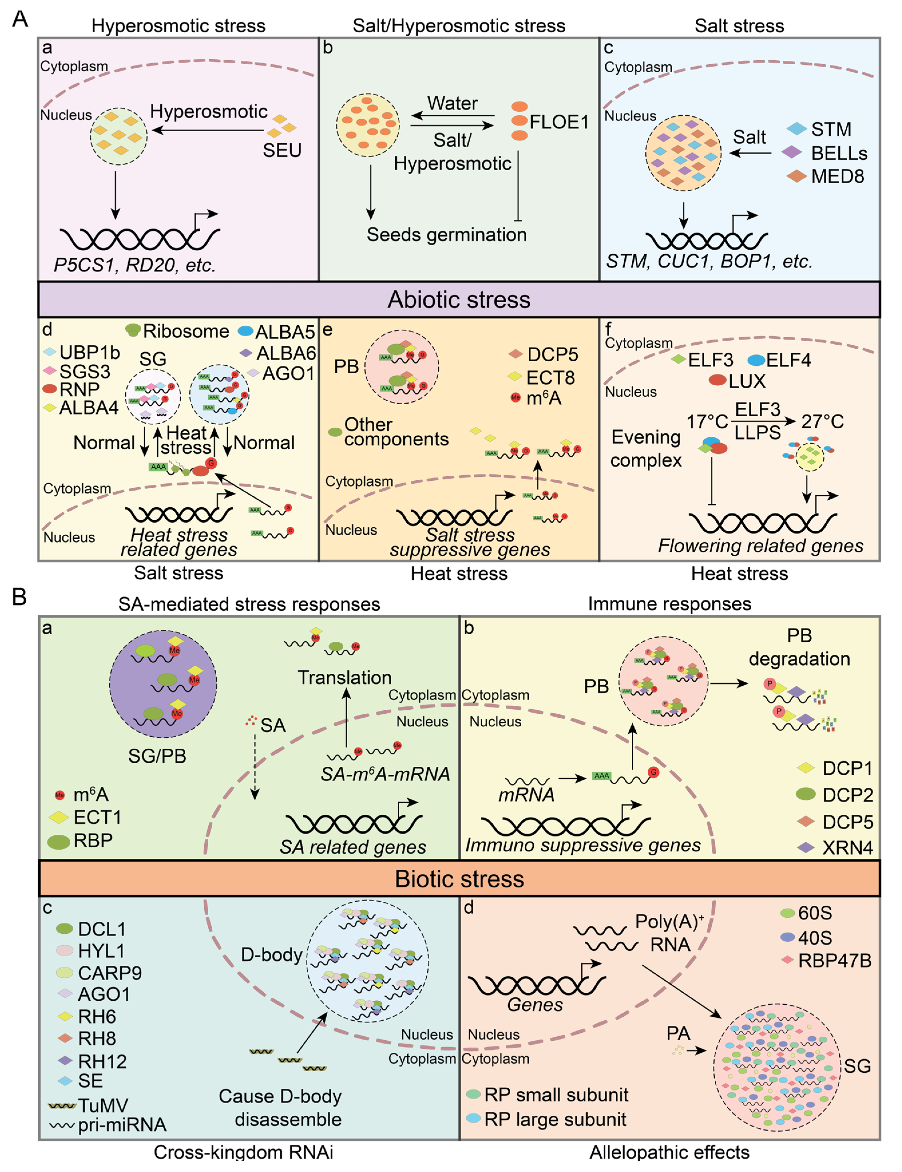 Plants 13 02666 g004
