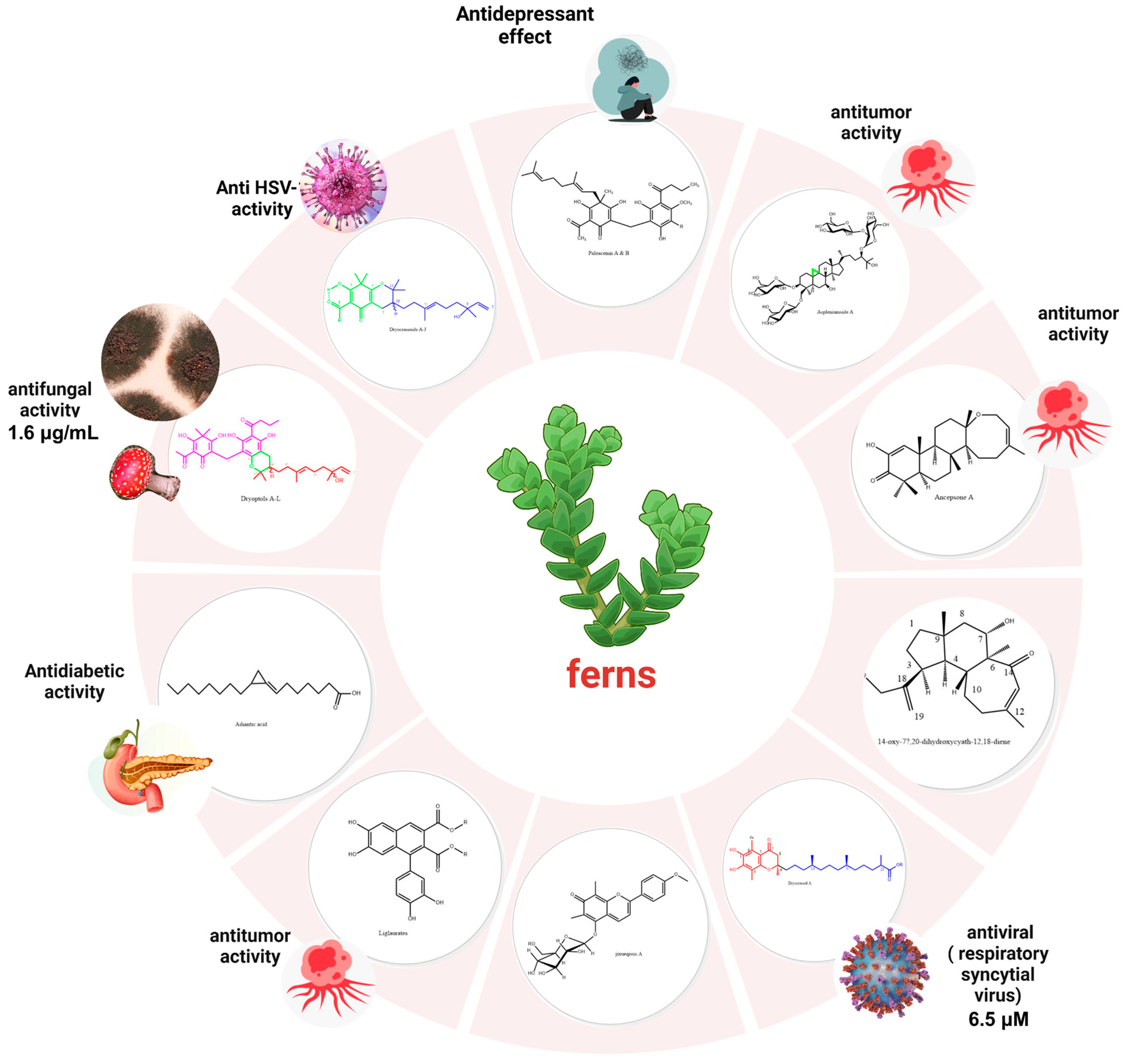 Plants 13 02668 g010 Plants 13 02668 g010