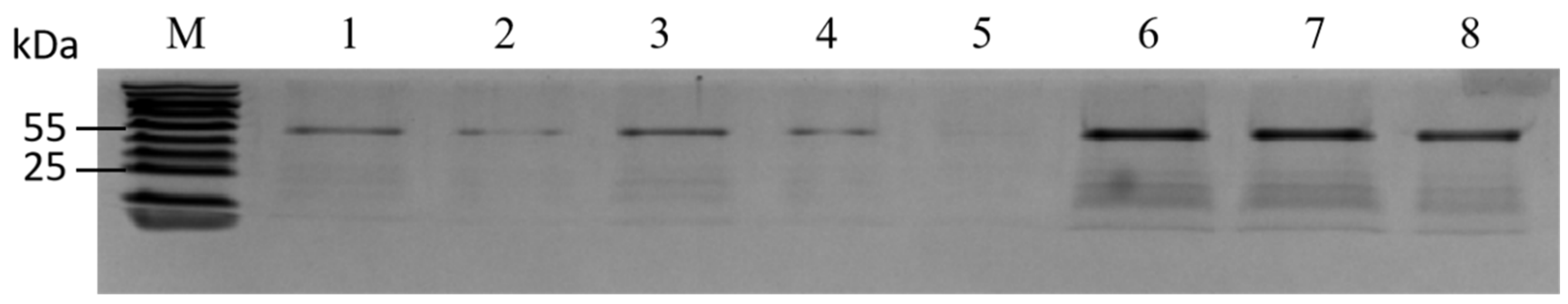 Plants 13 02672 g003