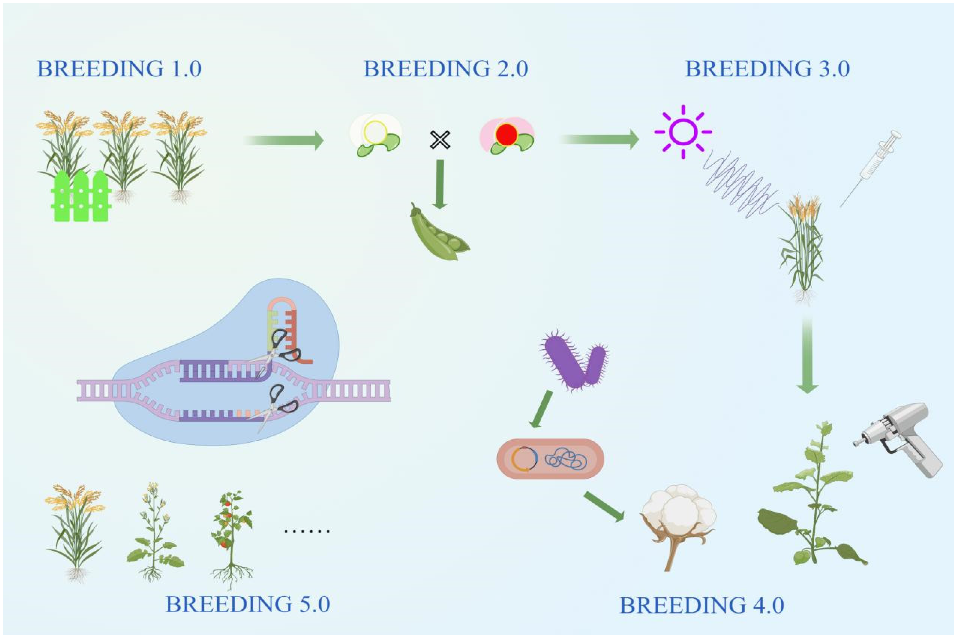 Plants 13 02676 g001