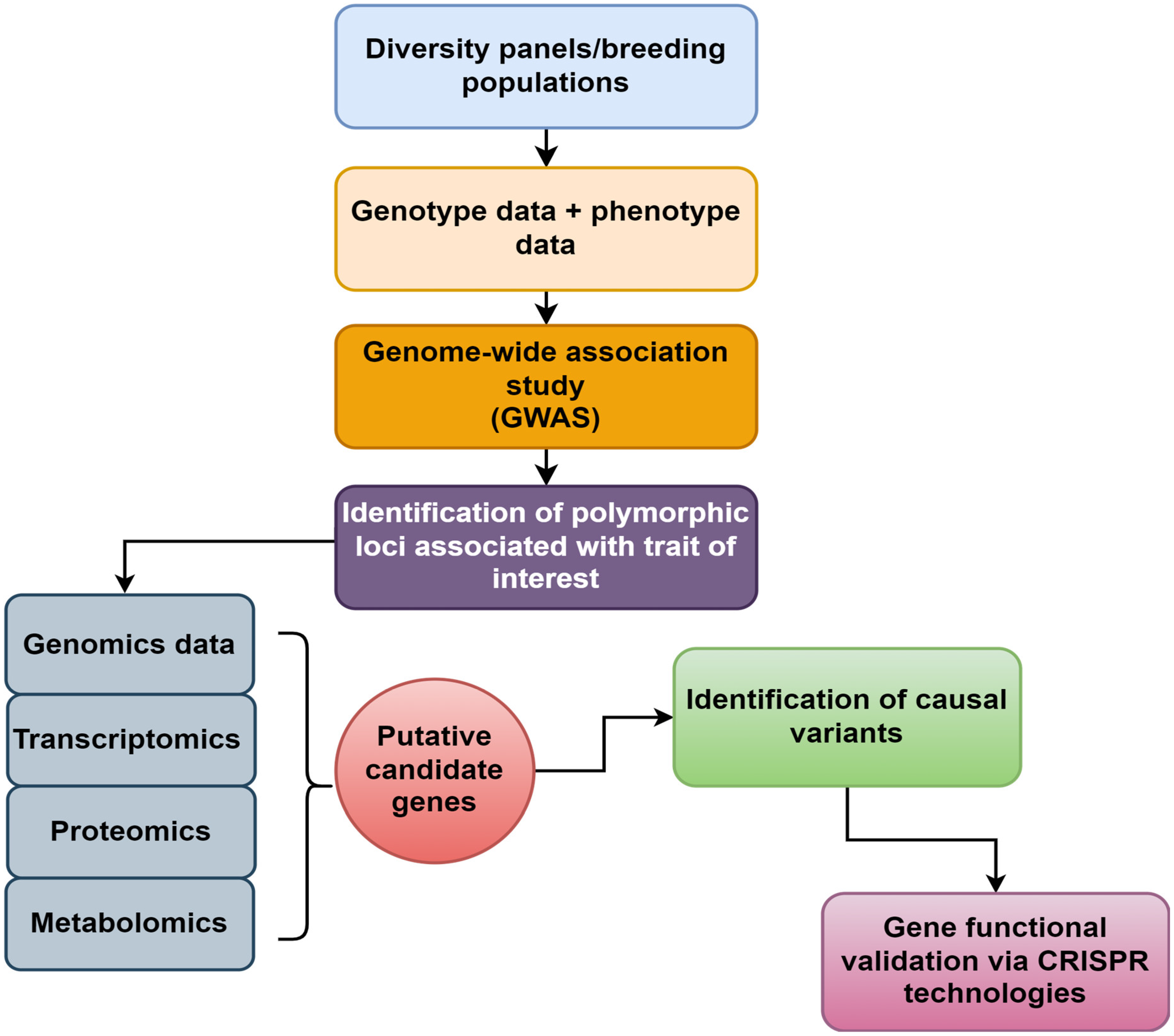 Plants 13 02676 g002