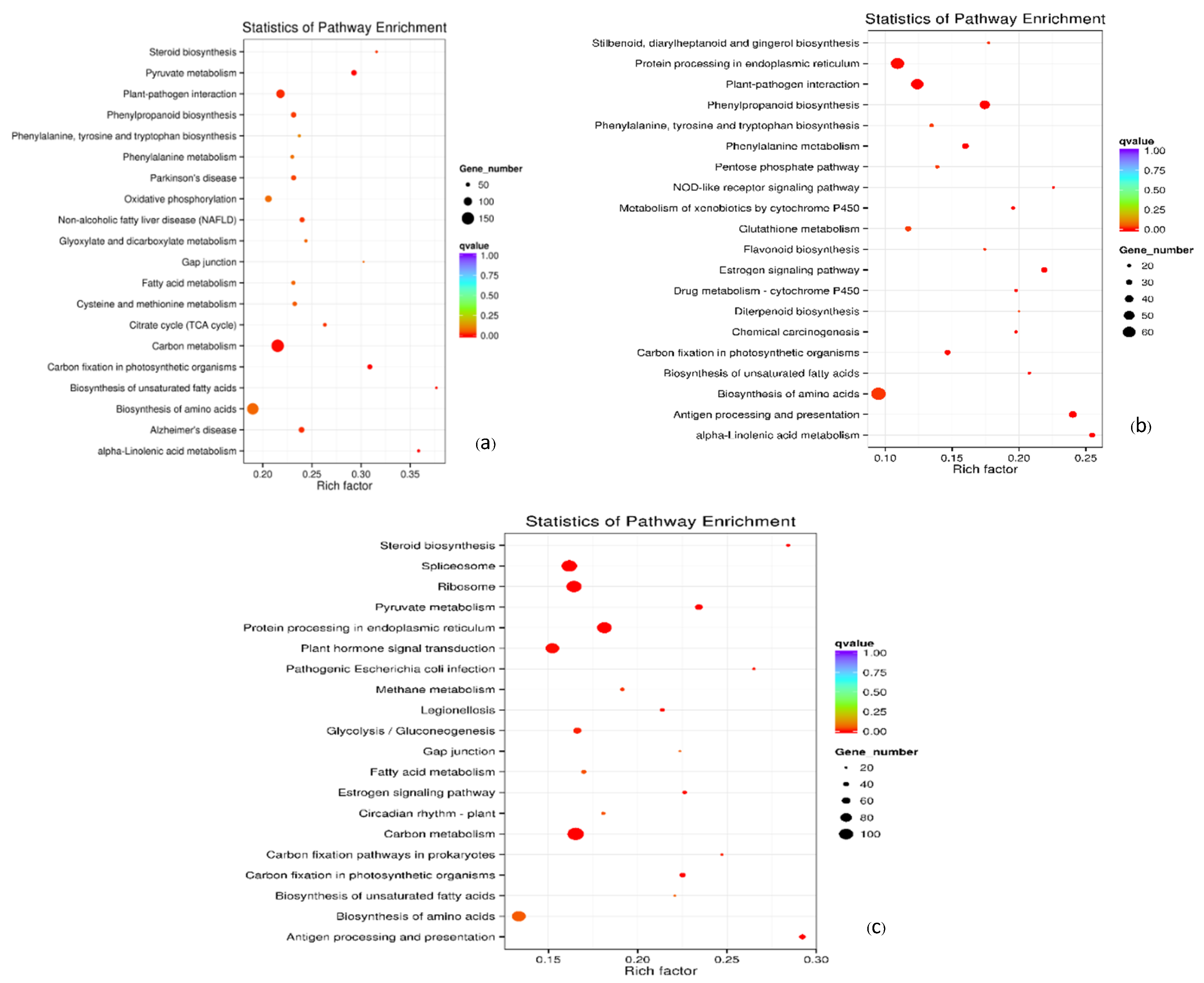 Plants 13 02680 g007