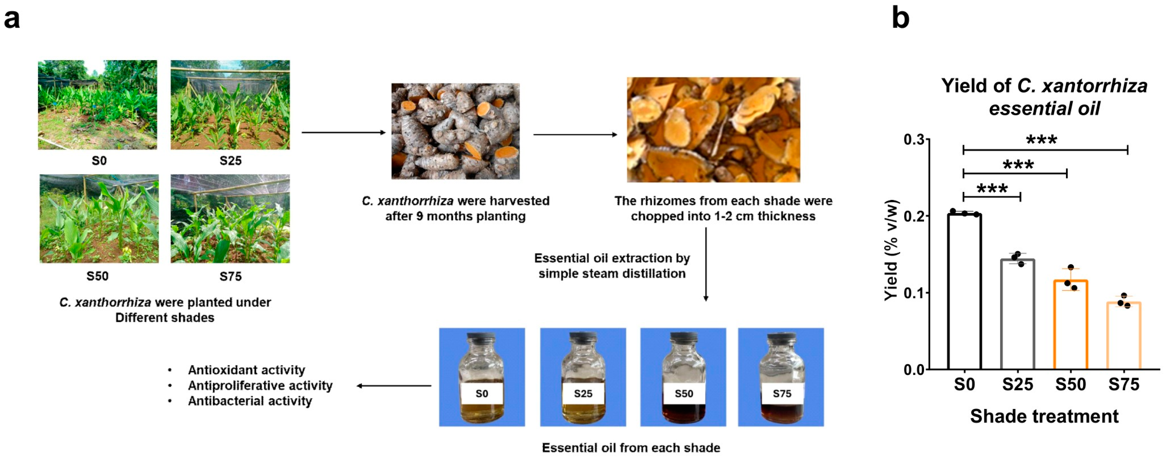 Plants 13 02682 g001