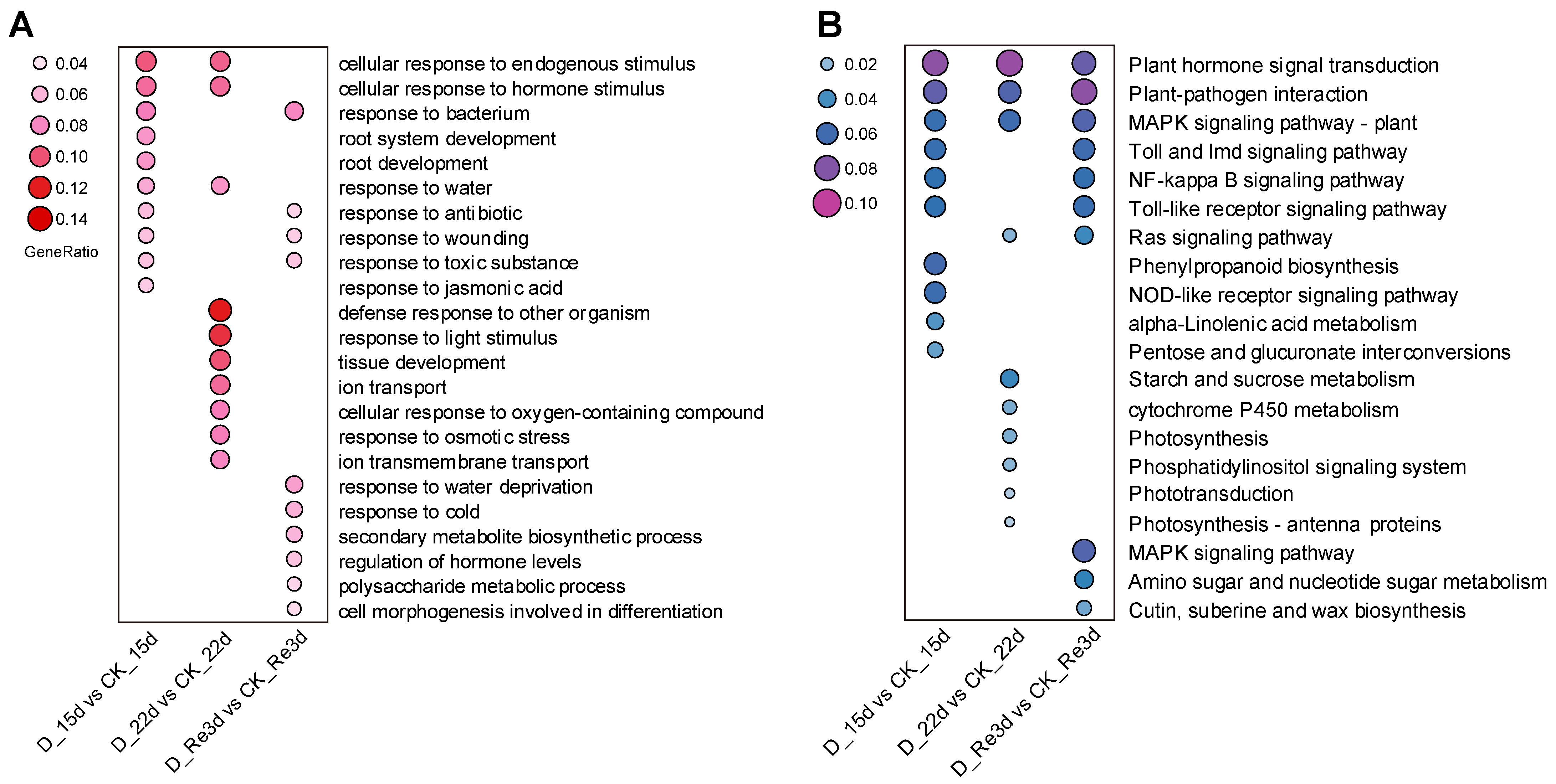 Plants 13 02685 g003