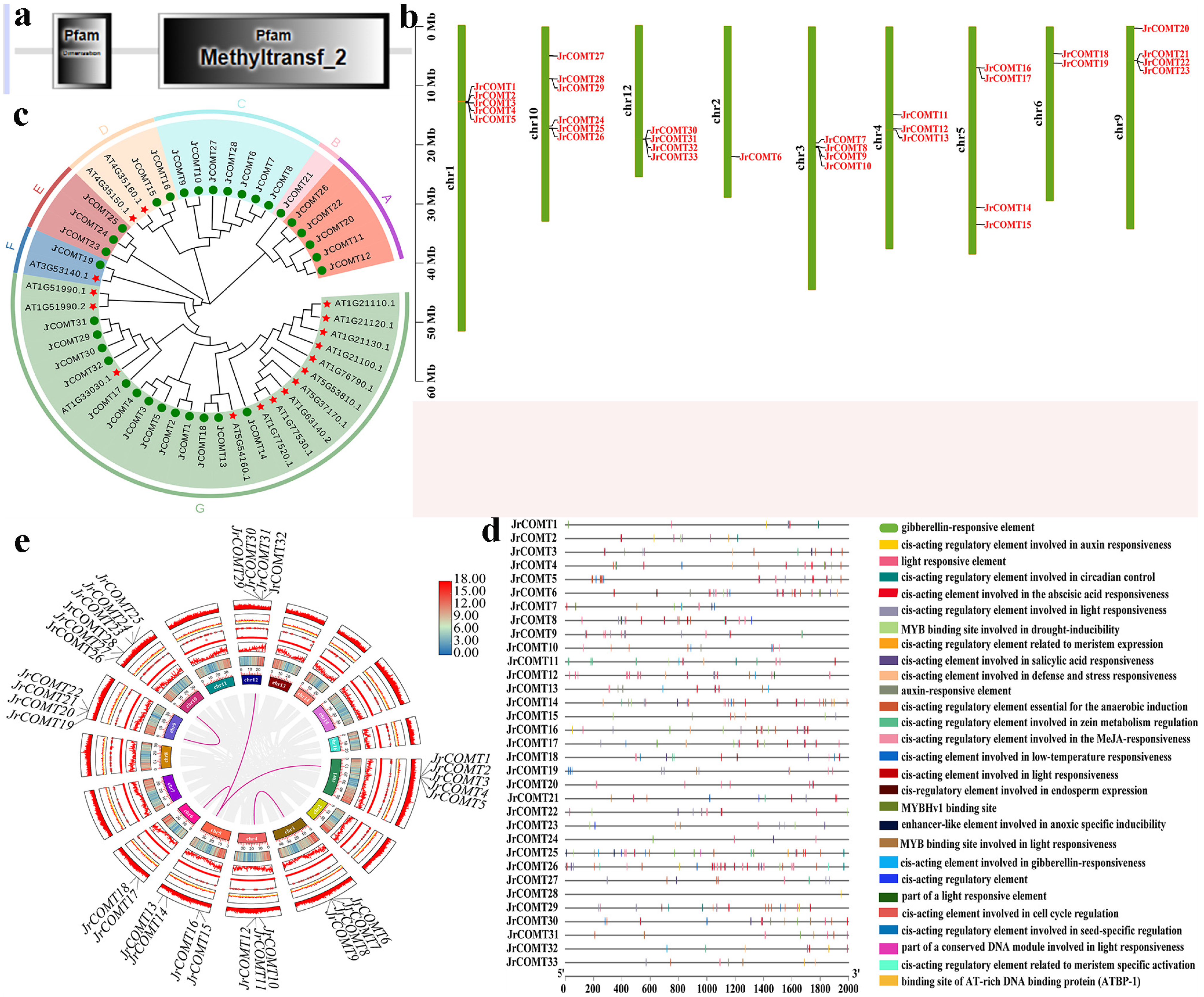 Plants 13 02690 g001
