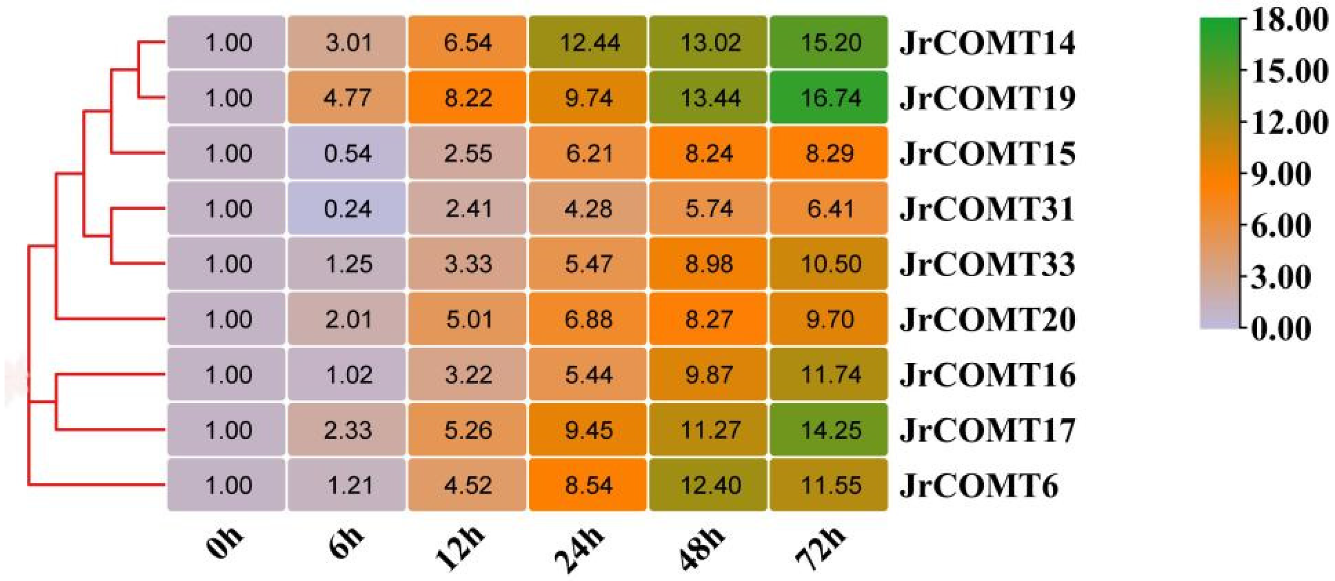 Plants 13 02690 g002