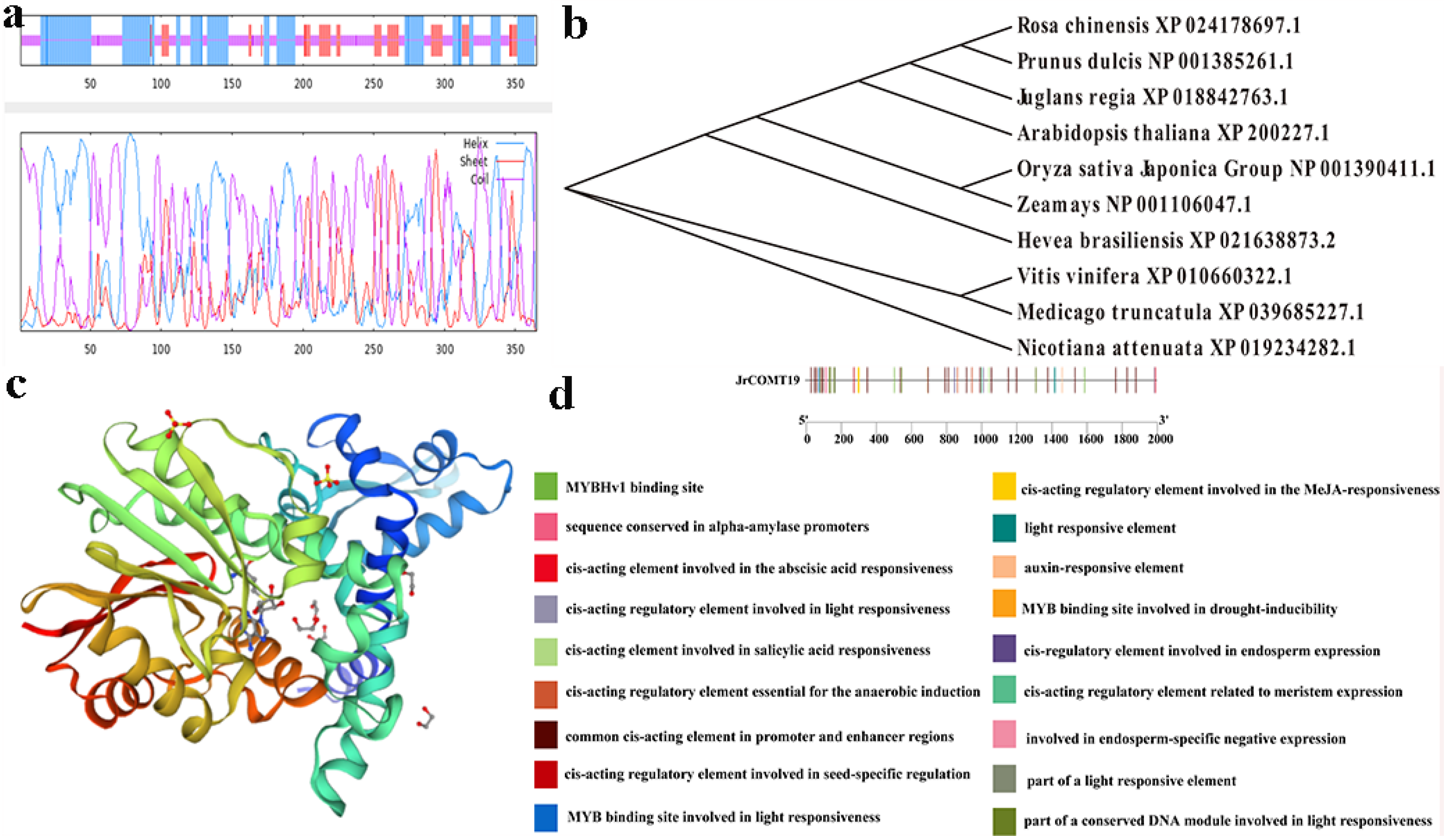 Plants 13 02690 g003