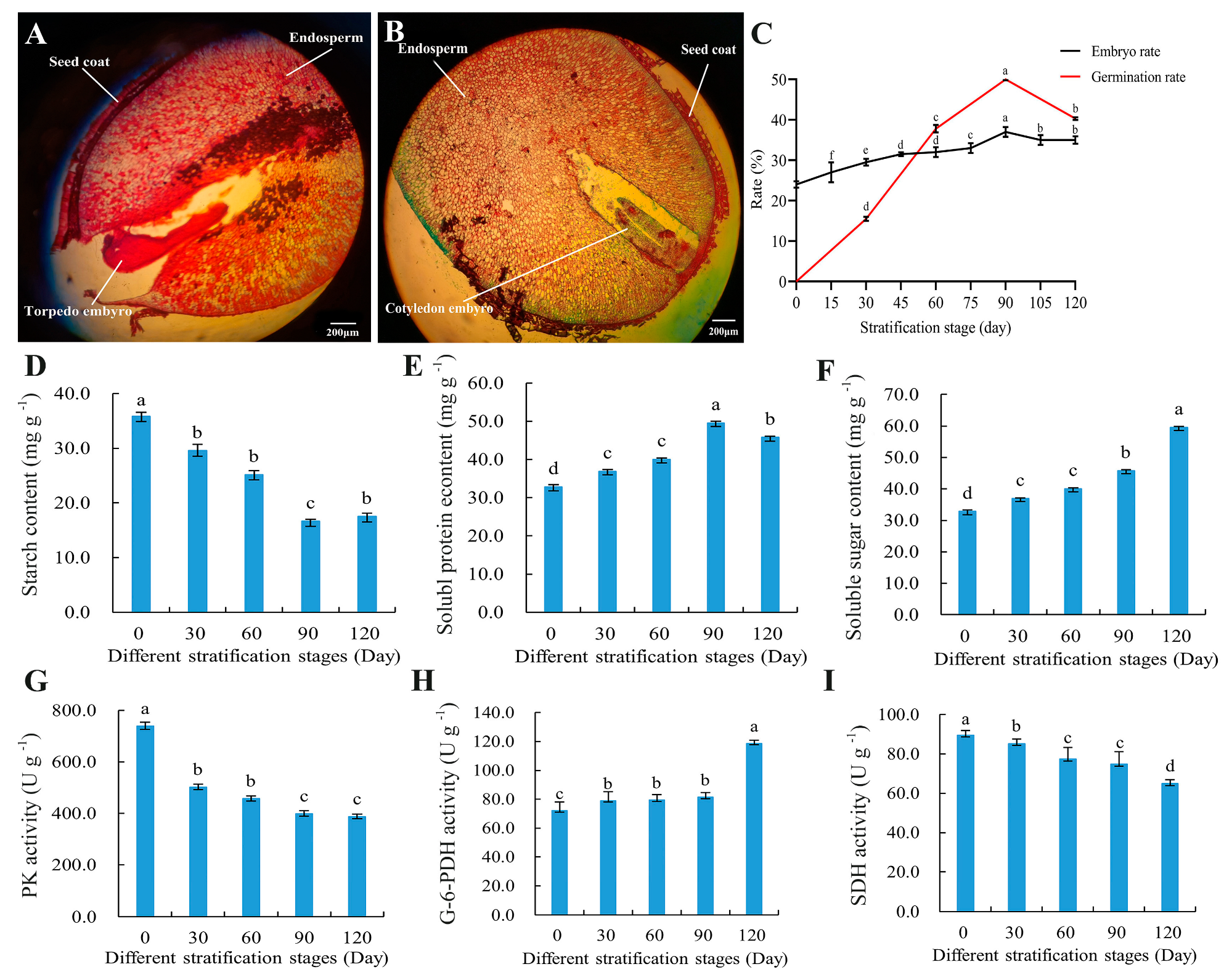 Plants 13 02693 g001