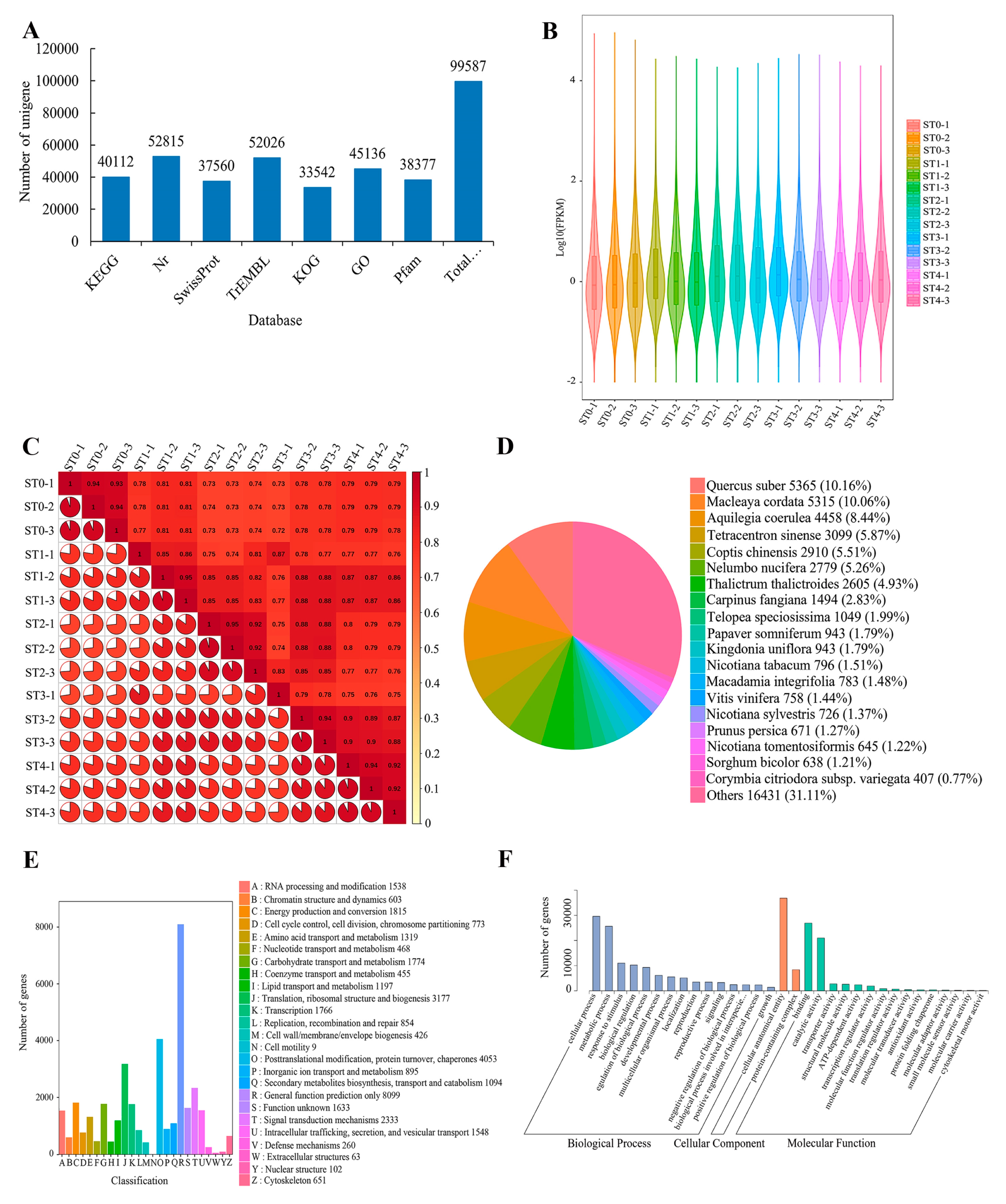 Plants 13 02693 g004