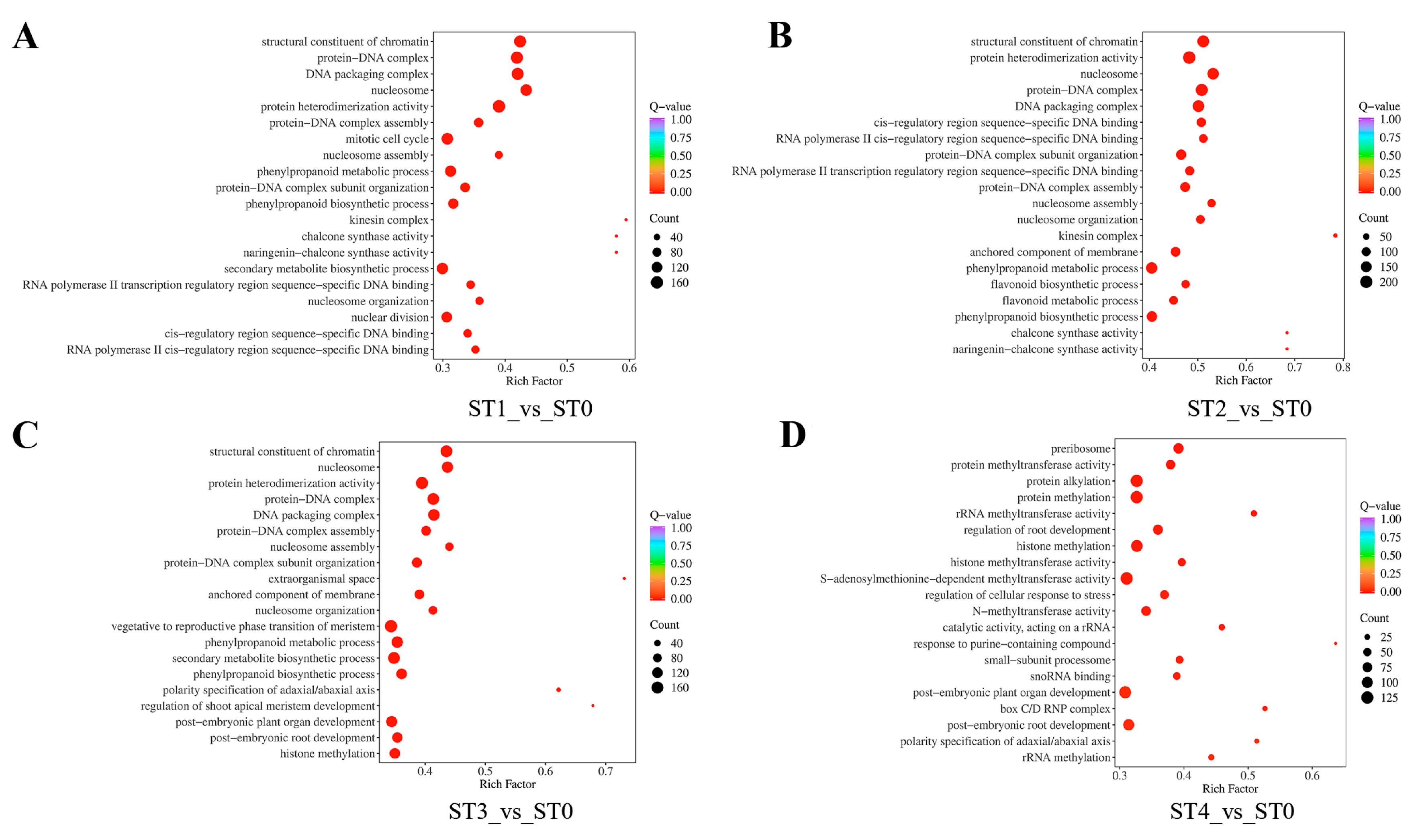 Plants 13 02693 g006a