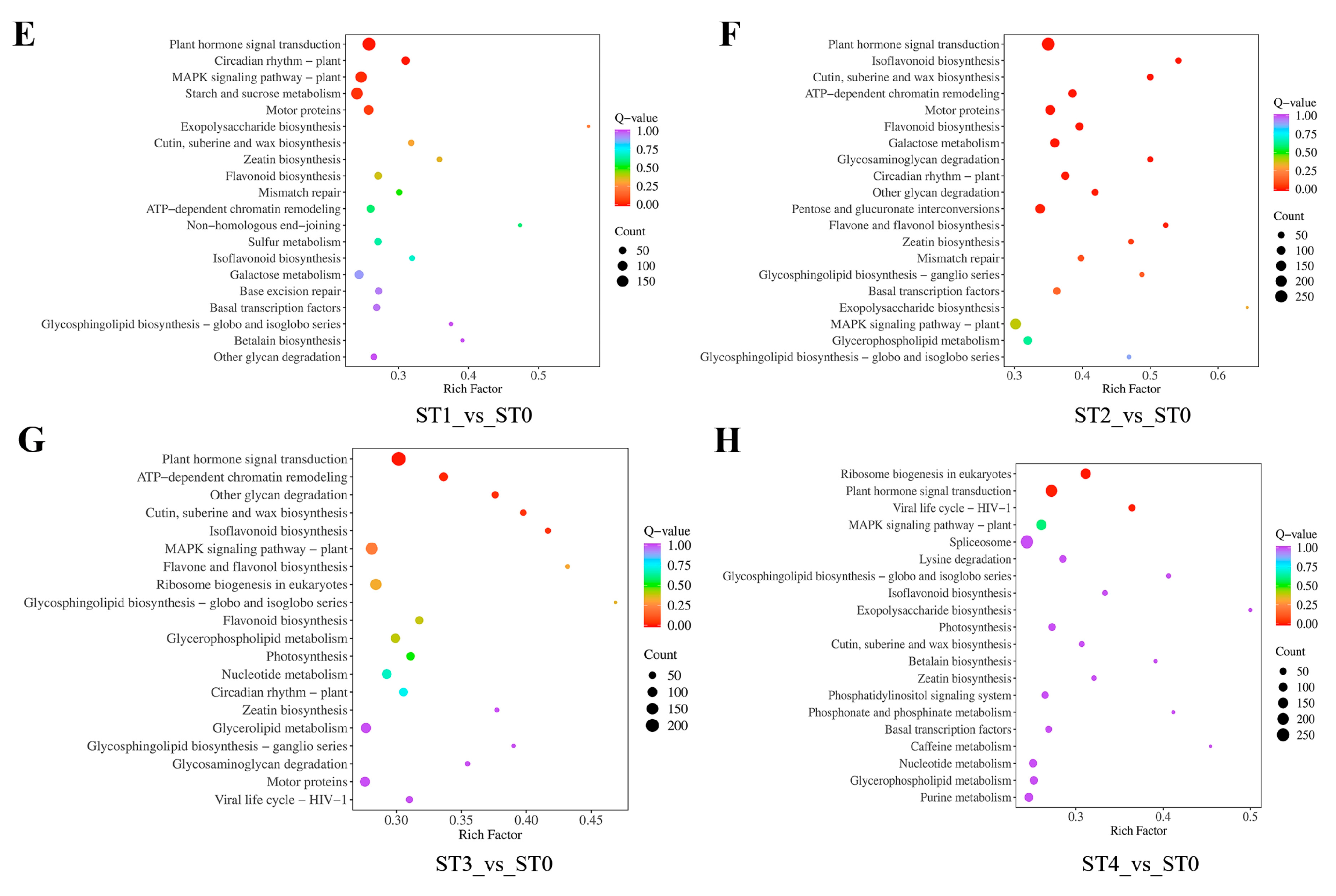 Plants 13 02693 g006b