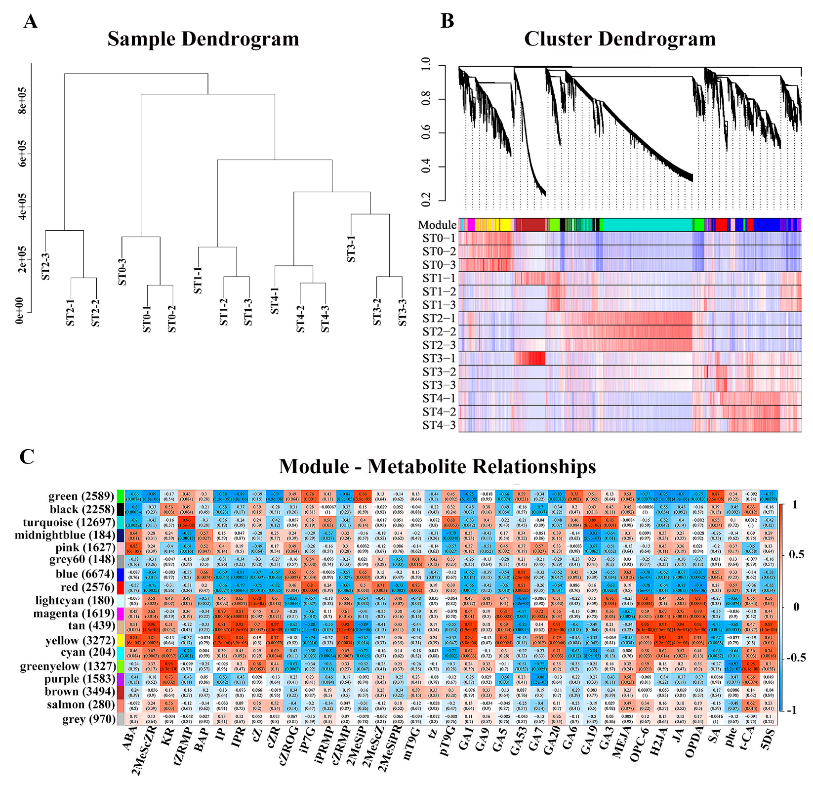 Plants 13 02693 g008