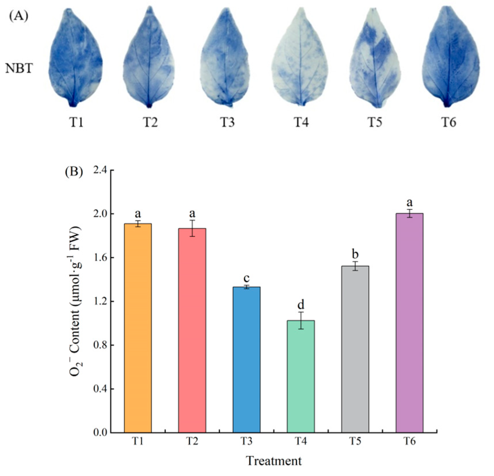 Plants 13 02694 g003