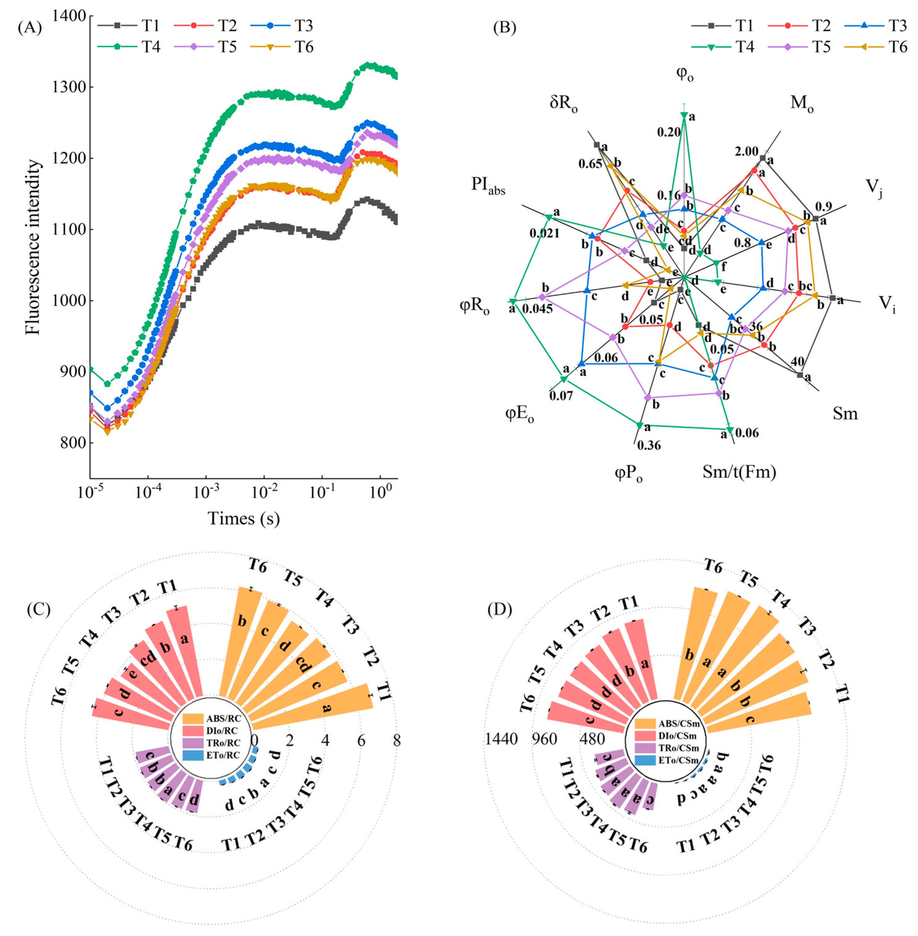 Plants 13 02694 g006