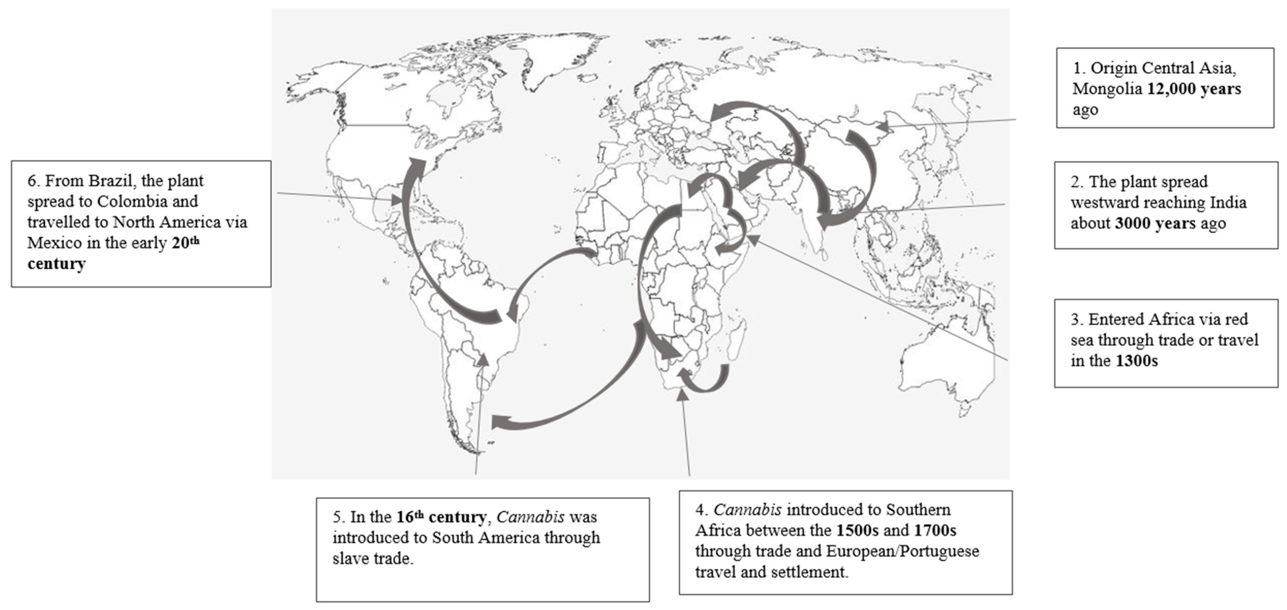 Plants 13 02695 g001