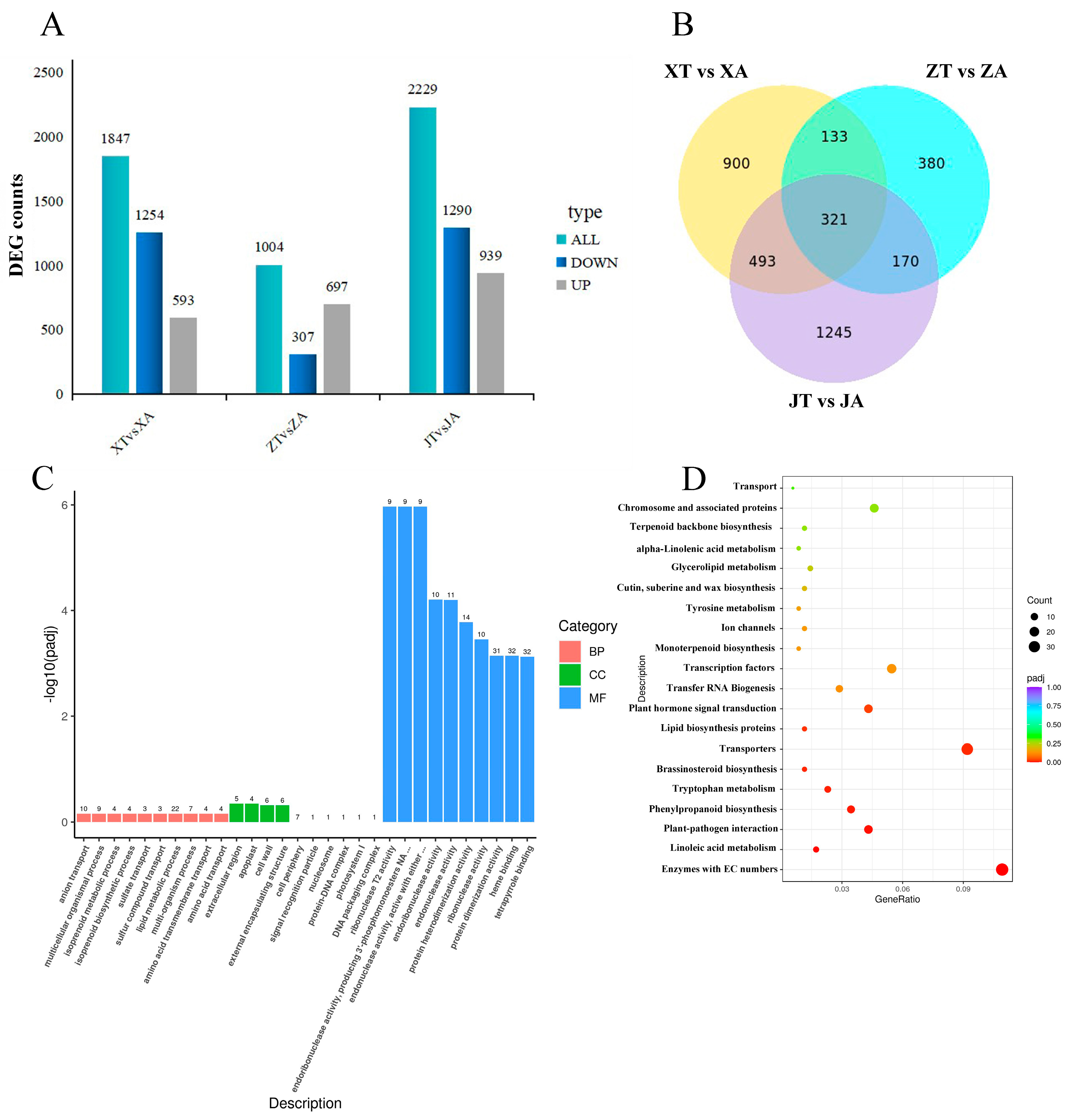 Plants 13 02696 g006