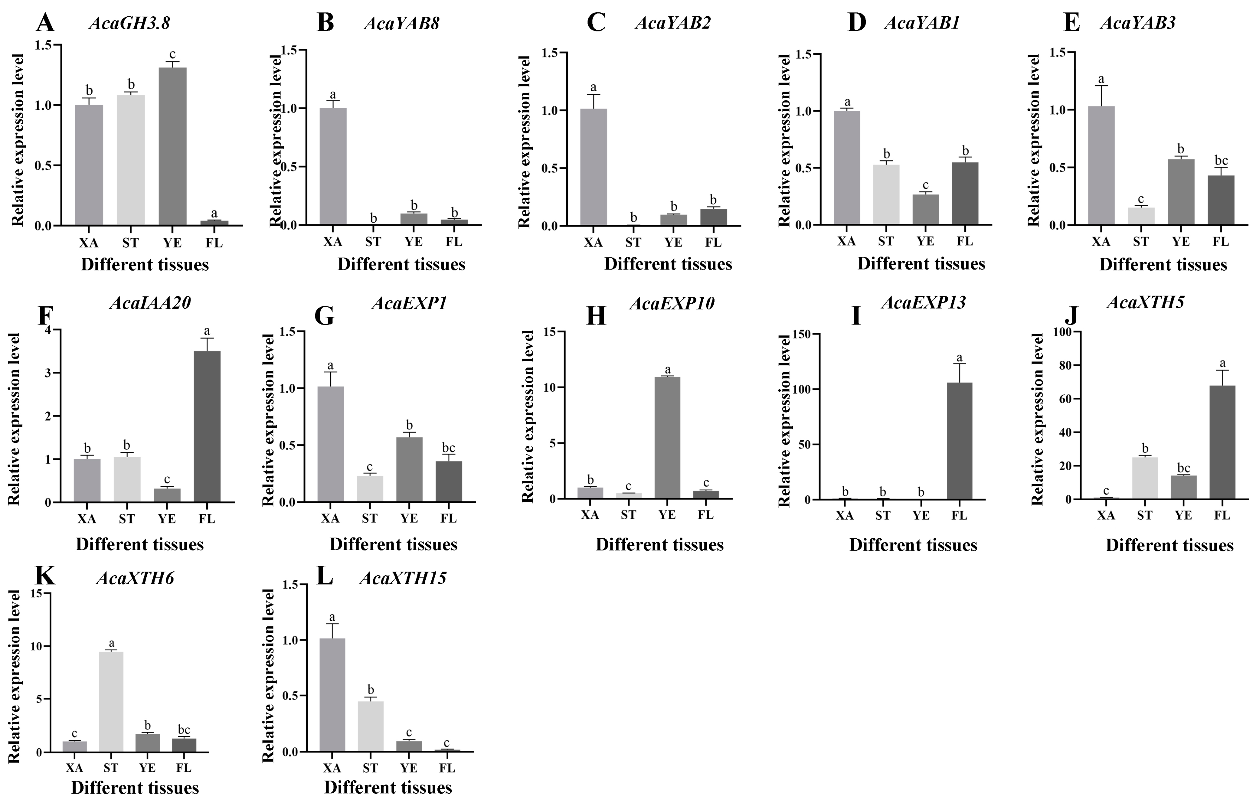 Plants 13 02696 g009