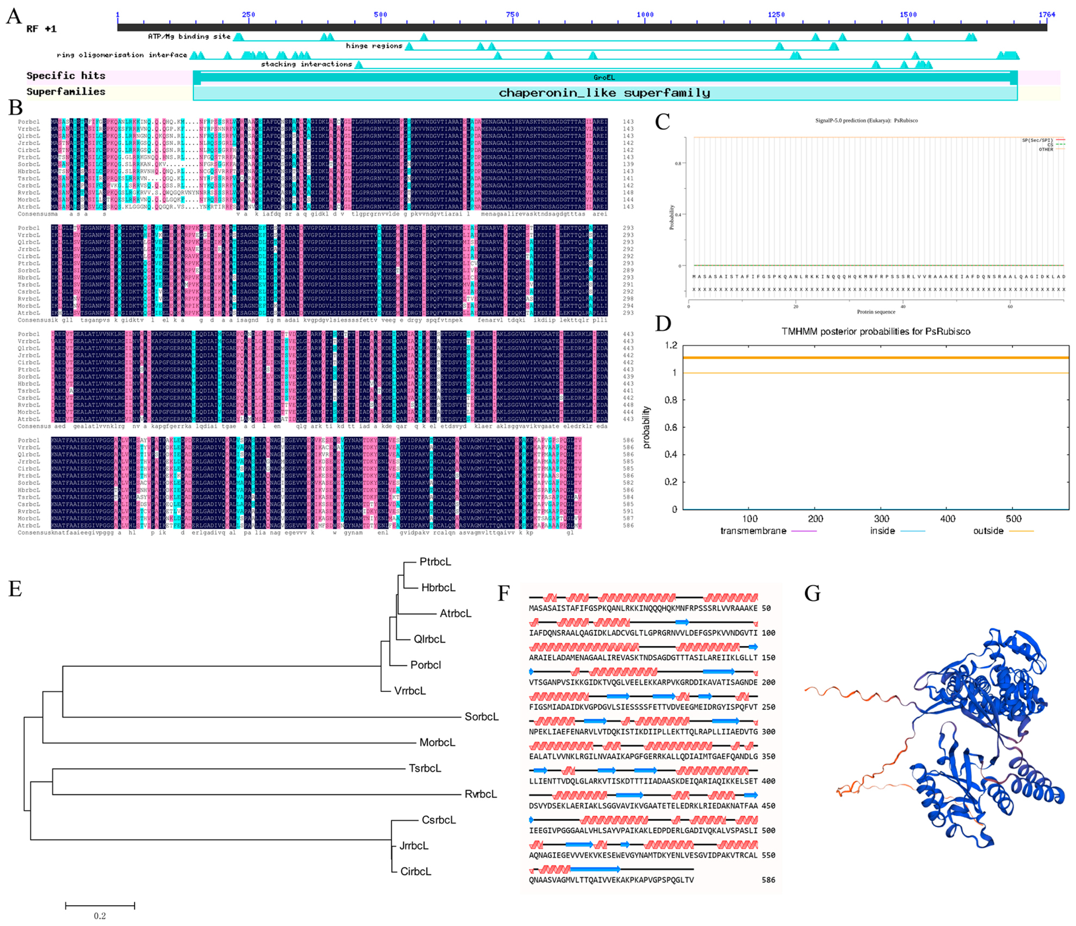 Plants 13 02697 g002