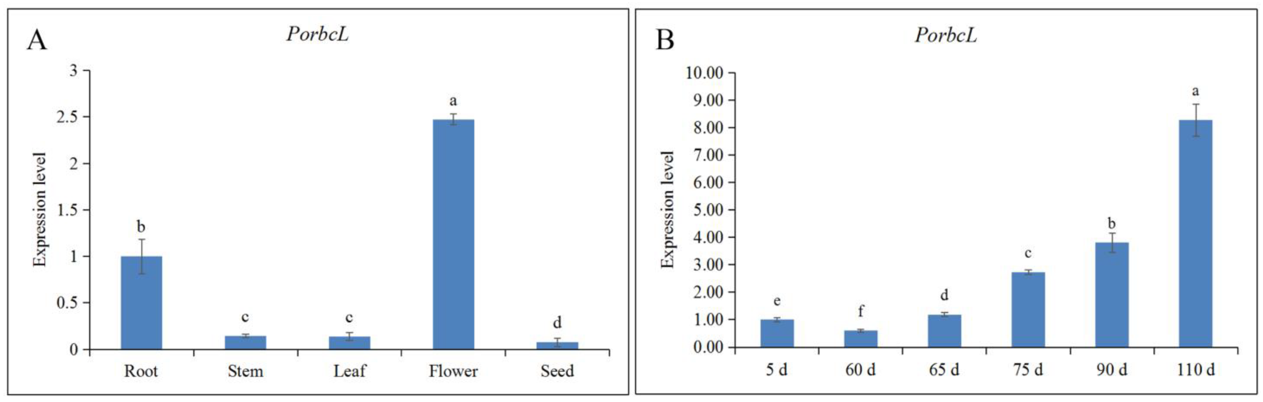 Plants 13 02697 g005