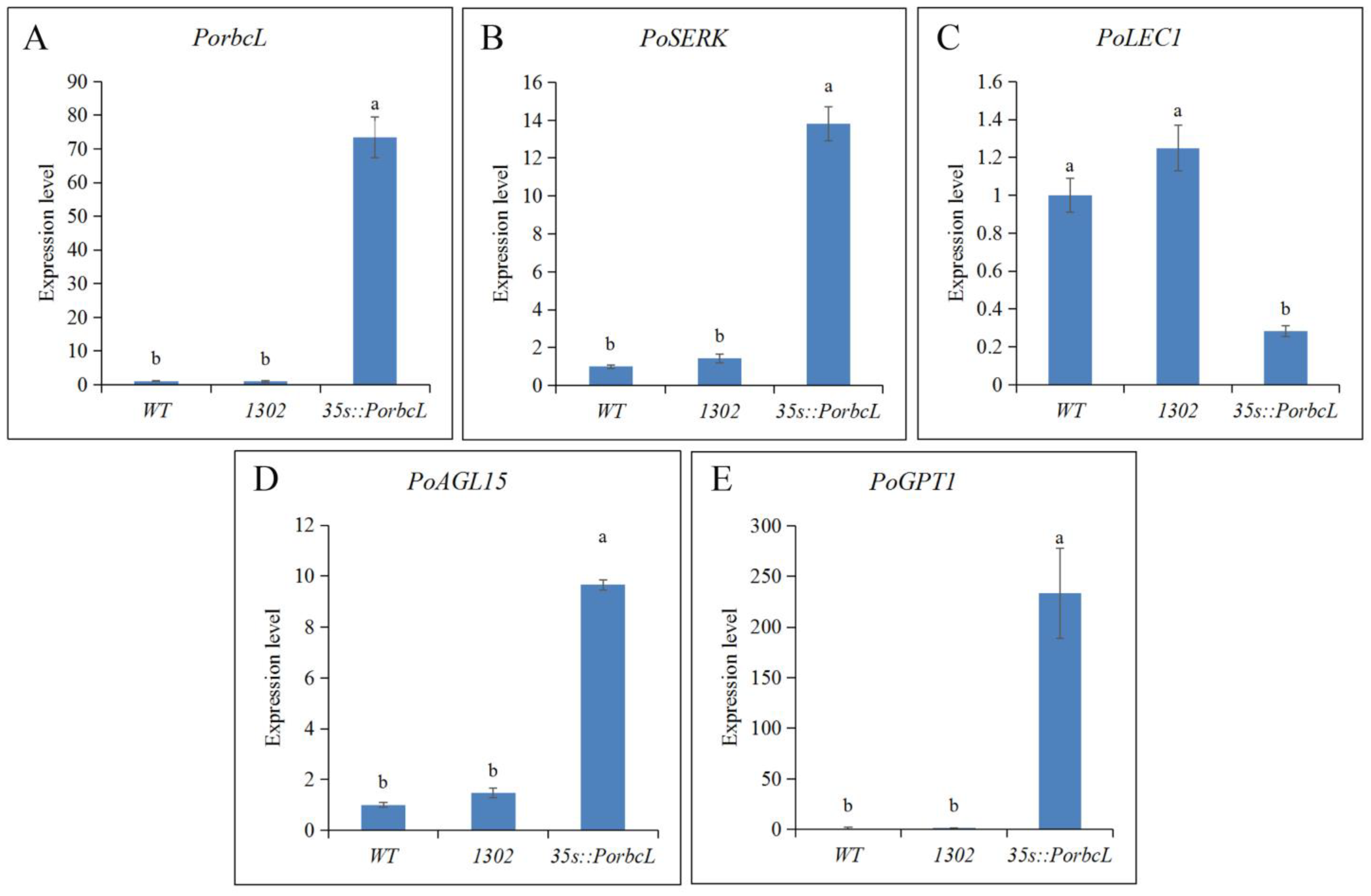 Plants 13 02697 g006